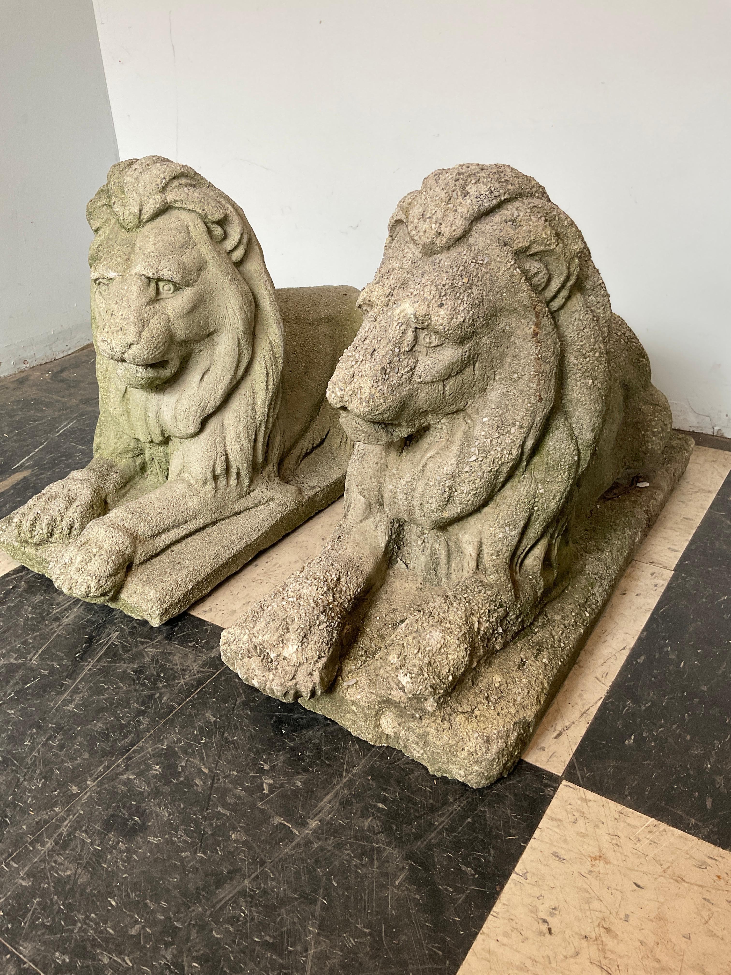 Paar Löwen aus Beton aus den 1950er Jahren im Zustand „Gut“ im Angebot in Tarrytown, NY
