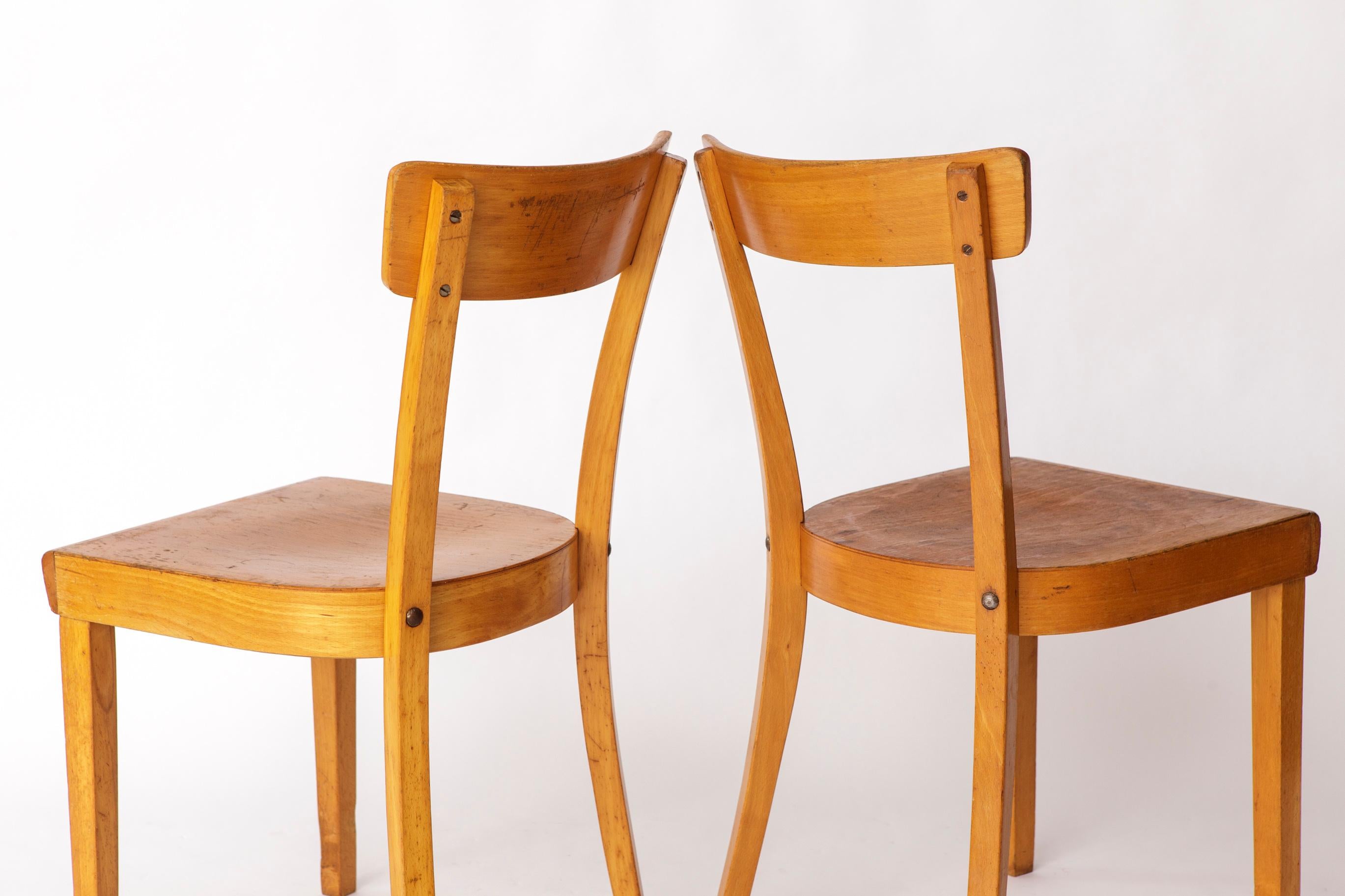 Metà XX secolo Coppia di sedie da pranzo Frankfurt degli anni '50, Germania - Ristrutturate Beechwood Classics in vendita
