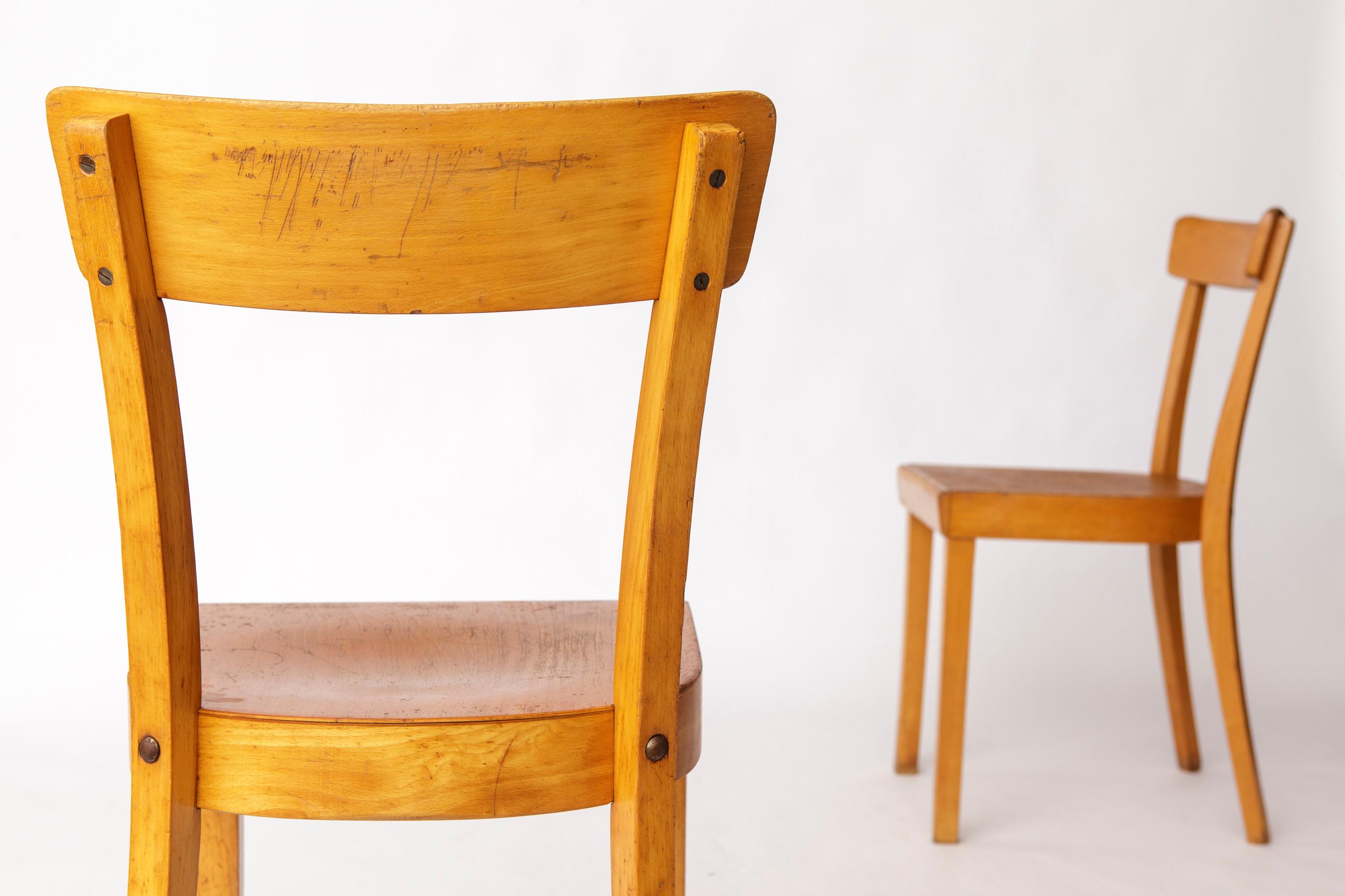 Faggio Coppia di sedie da pranzo Frankfurt degli anni '50, Germania - Ristrutturate Beechwood Classics in vendita