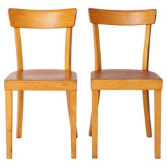 Dining Room Chairs