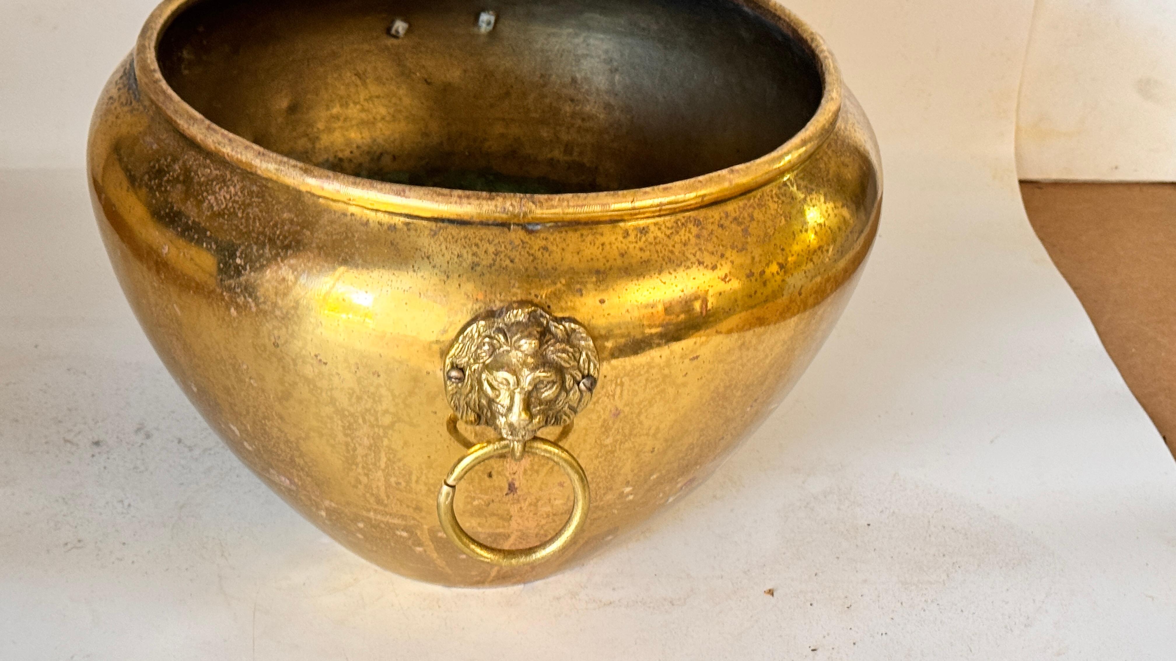 Coppia di cache-pot francesi in ottone degli anni '50 - ornamenti a testa di leone e manici ad anello in vendita 10