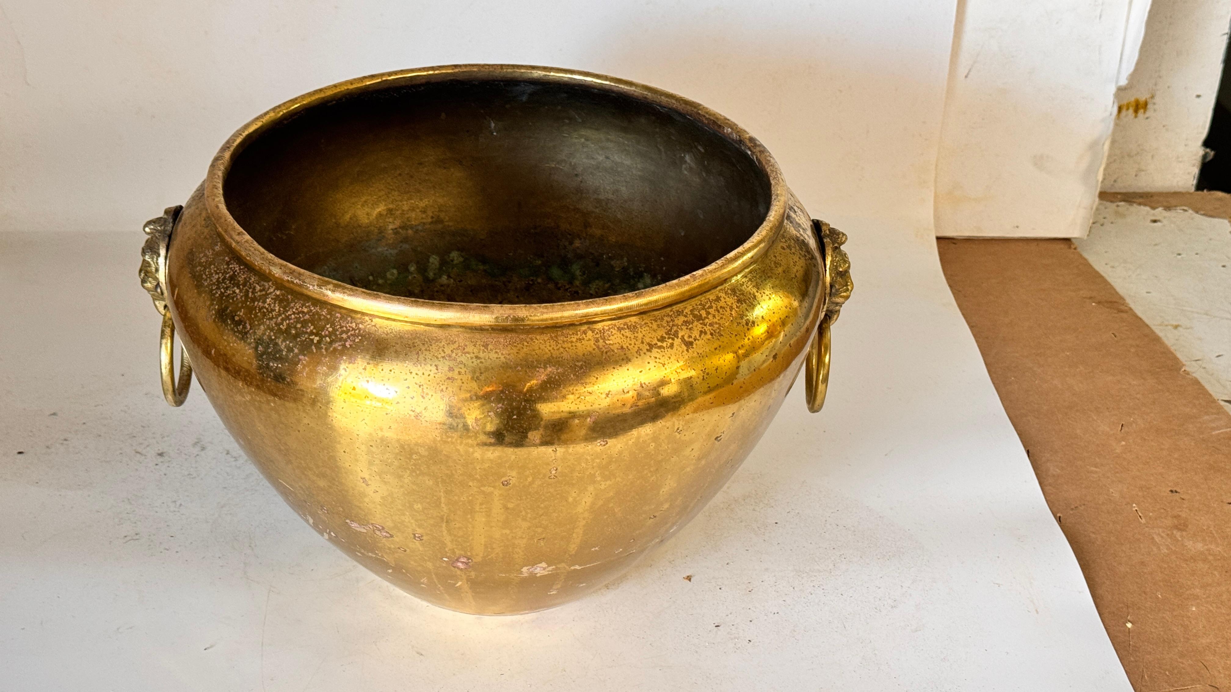 Coppia di cache-pot francesi in ottone degli anni '50 - ornamenti a testa di leone e manici ad anello in vendita 12