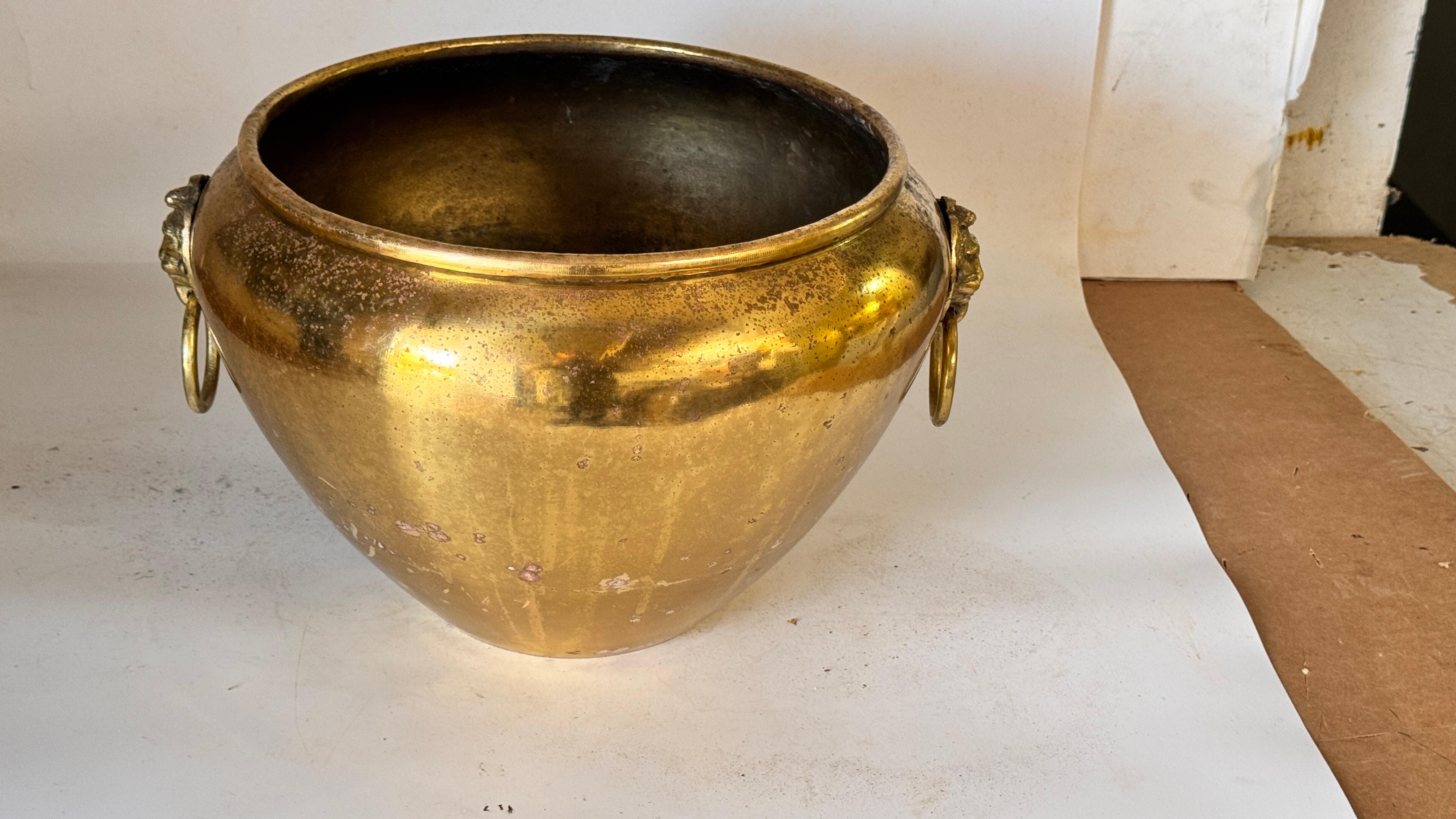 Coppia di cache-pot francesi in ottone degli anni '50 - ornamenti a testa di leone e manici ad anello in vendita 13