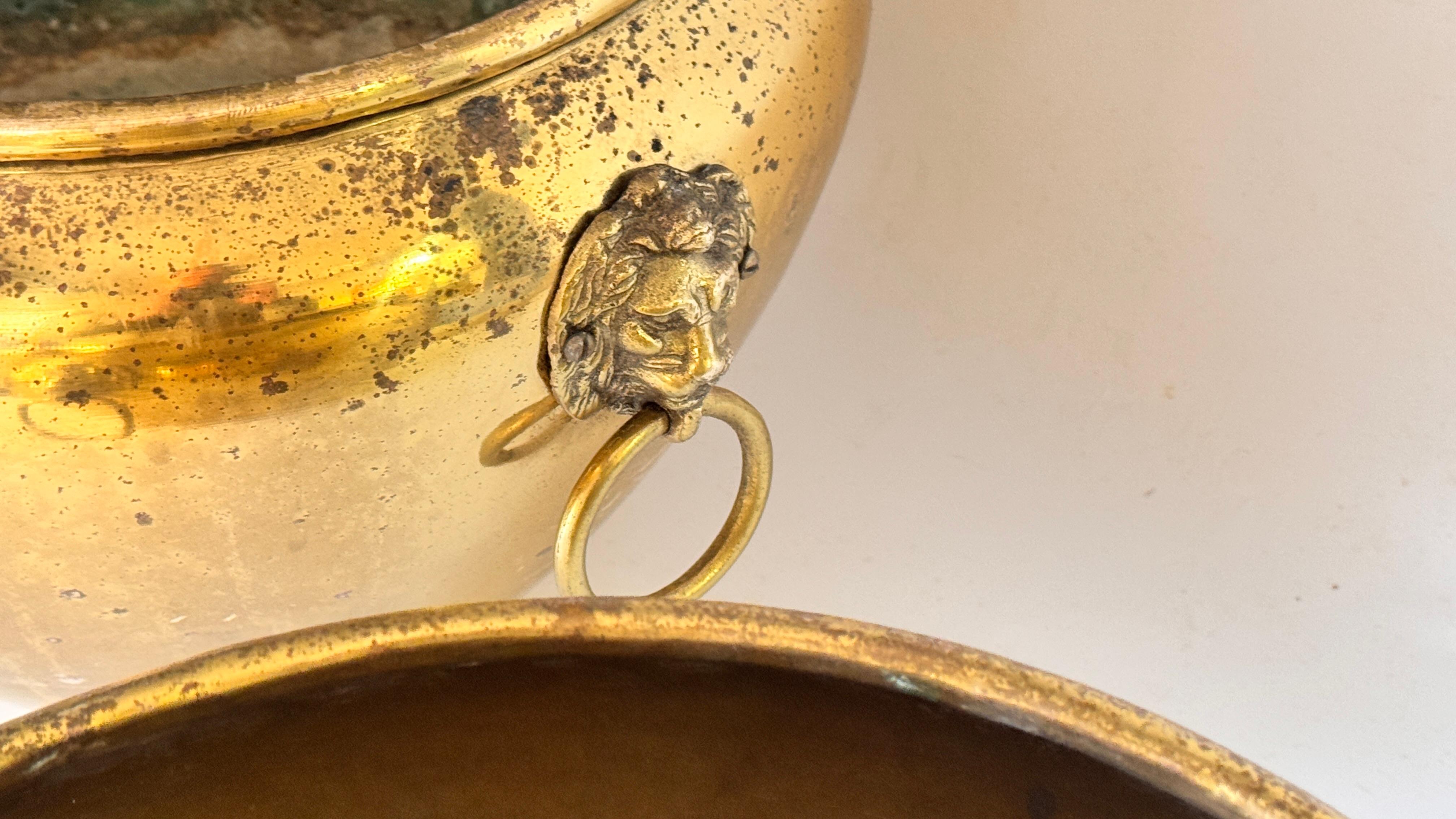 Francese Coppia di cache-pot francesi in ottone degli anni '50 - ornamenti a testa di leone e manici ad anello in vendita