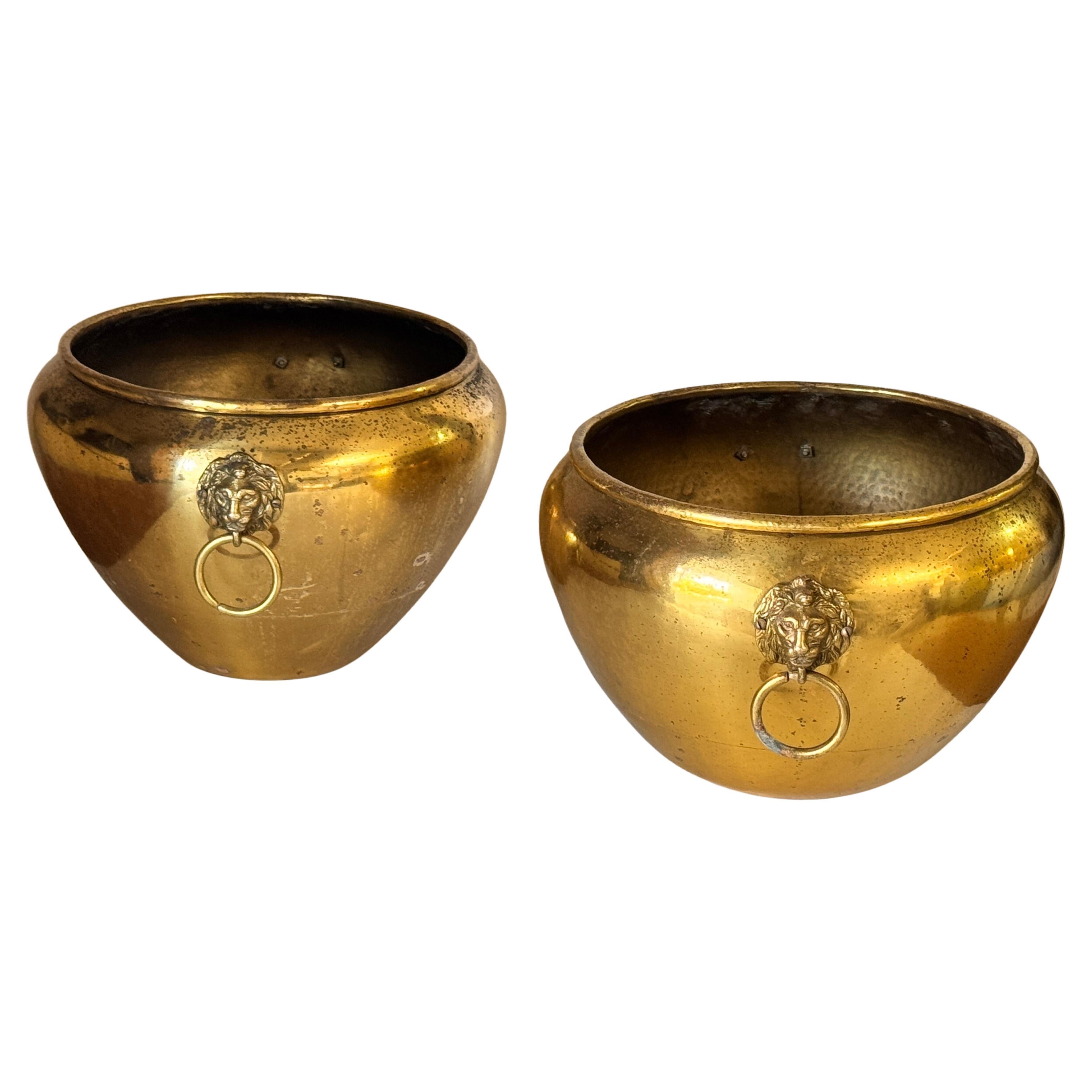 Coppia di cache-pot francesi in ottone degli anni '50 - ornamenti a testa di leone e manici ad anello in vendita