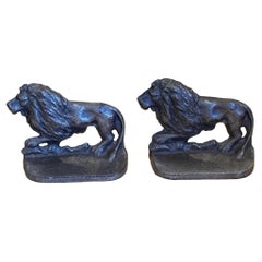 Pareja de leones de hierro de los años 50