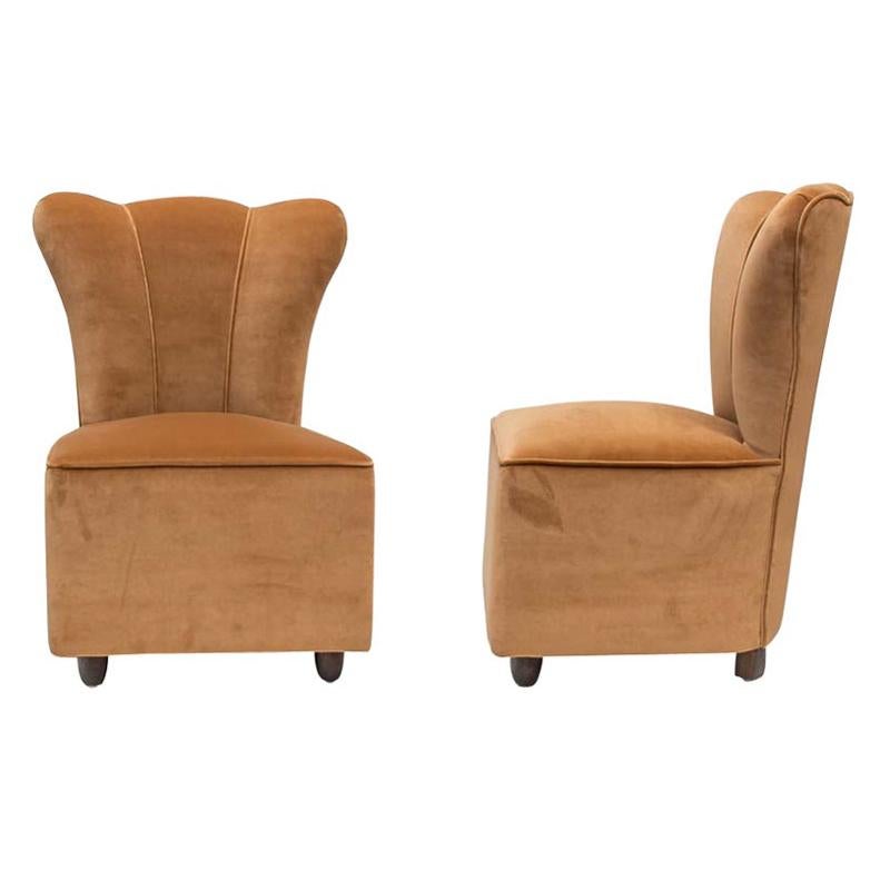 Pair of 1950s Italian Design Side Chairs Upholstered Sand Beige Colour Velvet