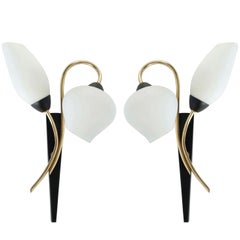 Pair of 1950s Sconces by Maison Lunel