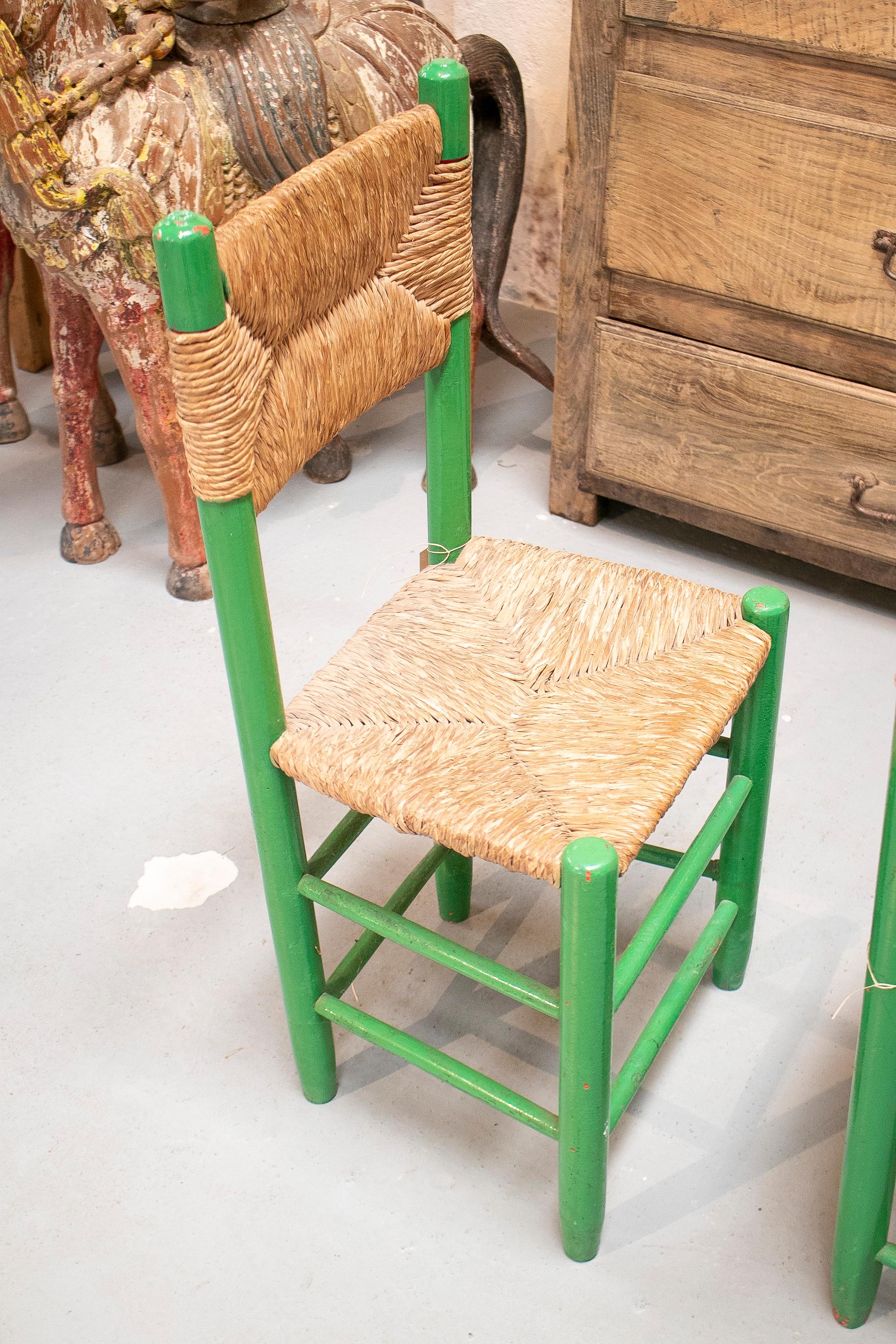 silla de enea flamenca