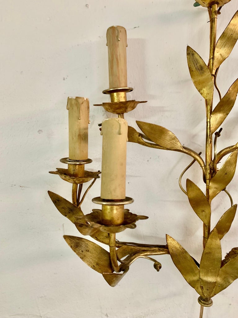 Pair of 1950s Spanish Wall Sconces in Gilt Metal and Six Light Arms For