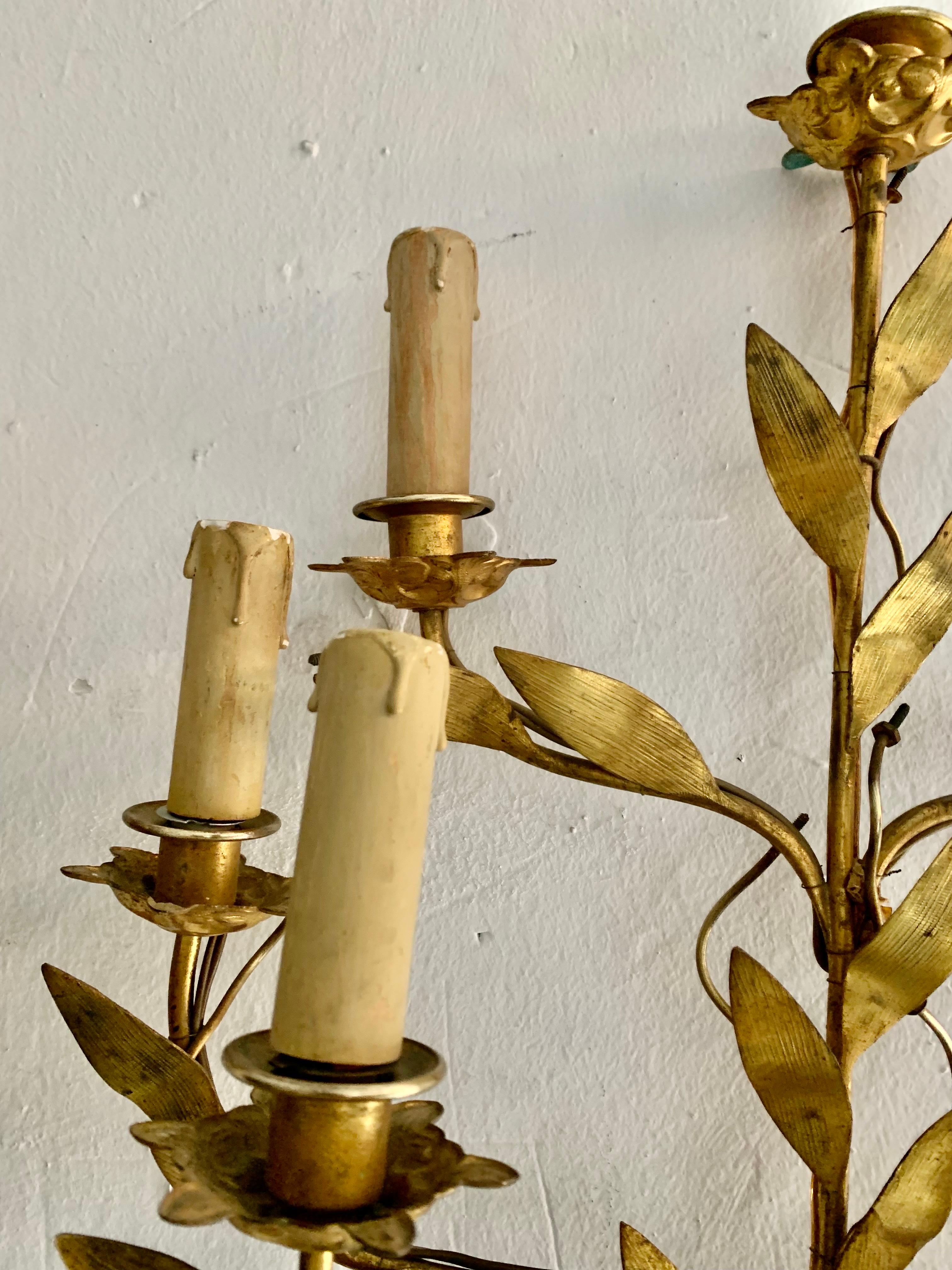 Pair of 1950s Spanish Wall Sconces in Gilt Metal and Six Light Arms For Sale 2