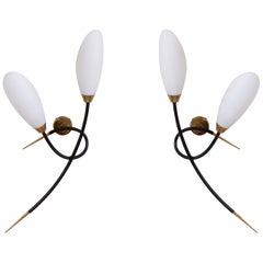 Pair of 1950s Wall Lamps by Maison Arlus