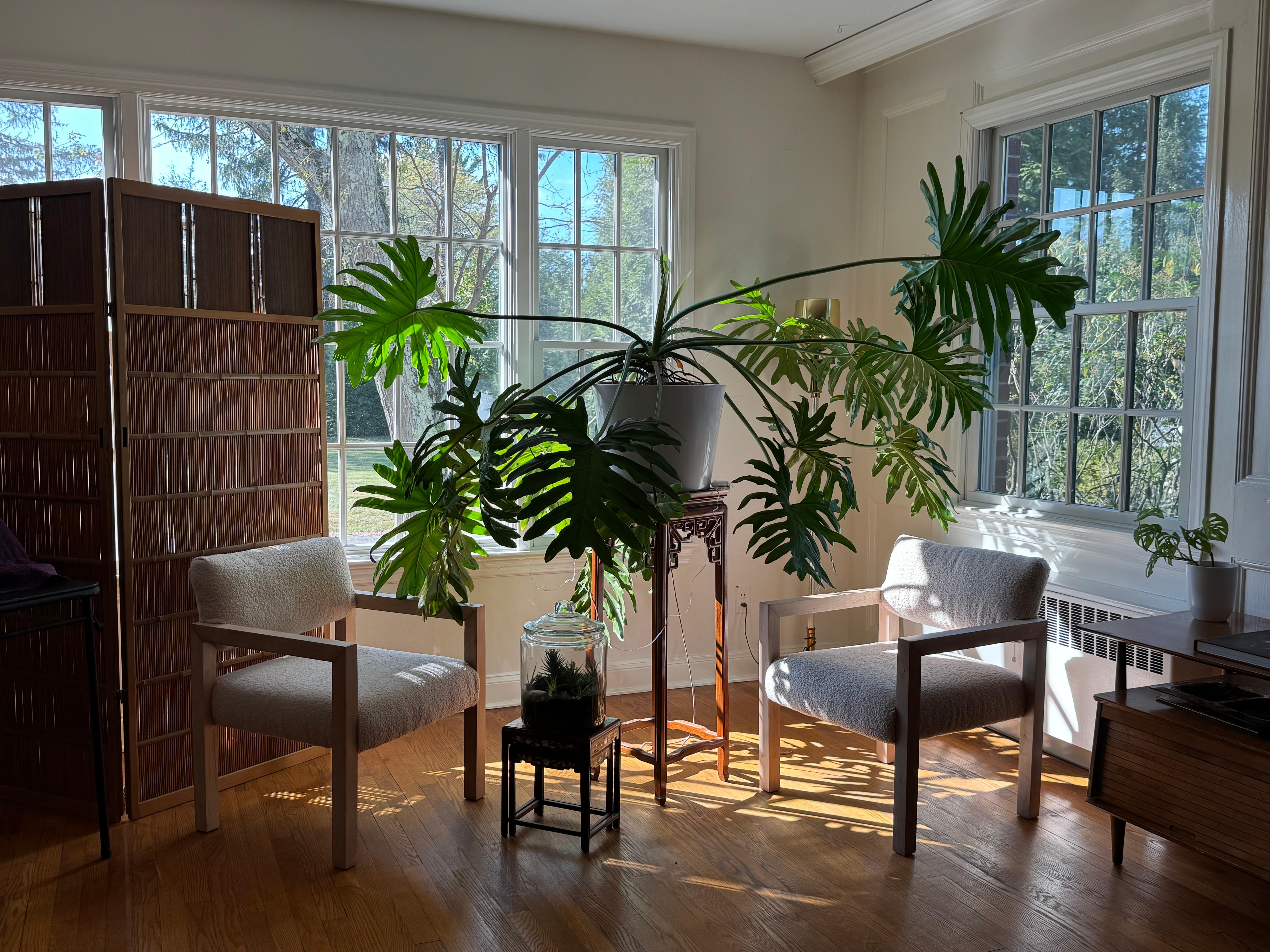 Pair of 1960s Original Organic Thayer Coggin Parsons Restored Chairs (Bouclé) im Angebot