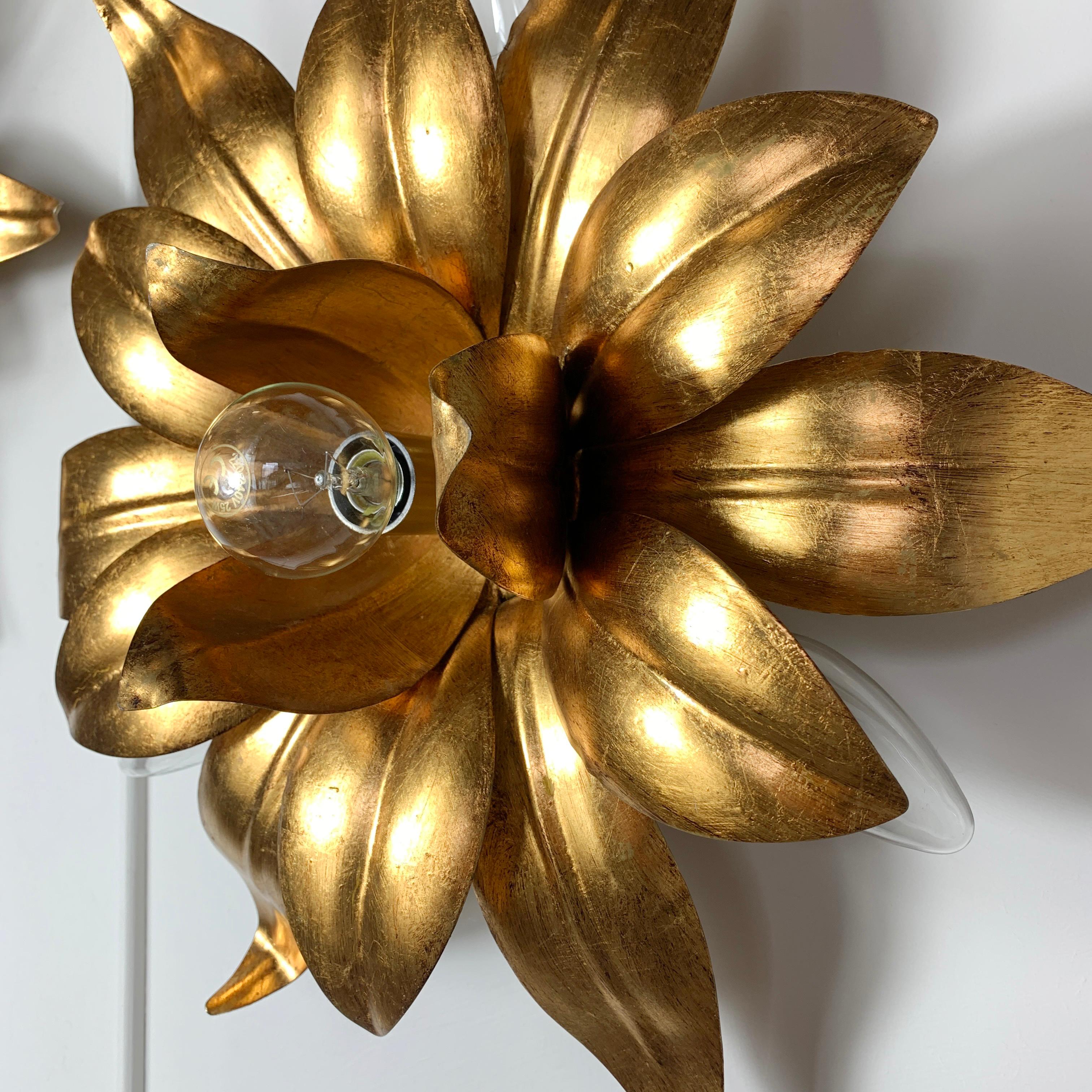 A beautiful pair of Italian gilt flower wall lights, very much in the Kogl style, and dating from the 1970's. Each light has 4 lamp holders, one in the centre of the flower and three additional bulbs that sit underneath the individual petals. The