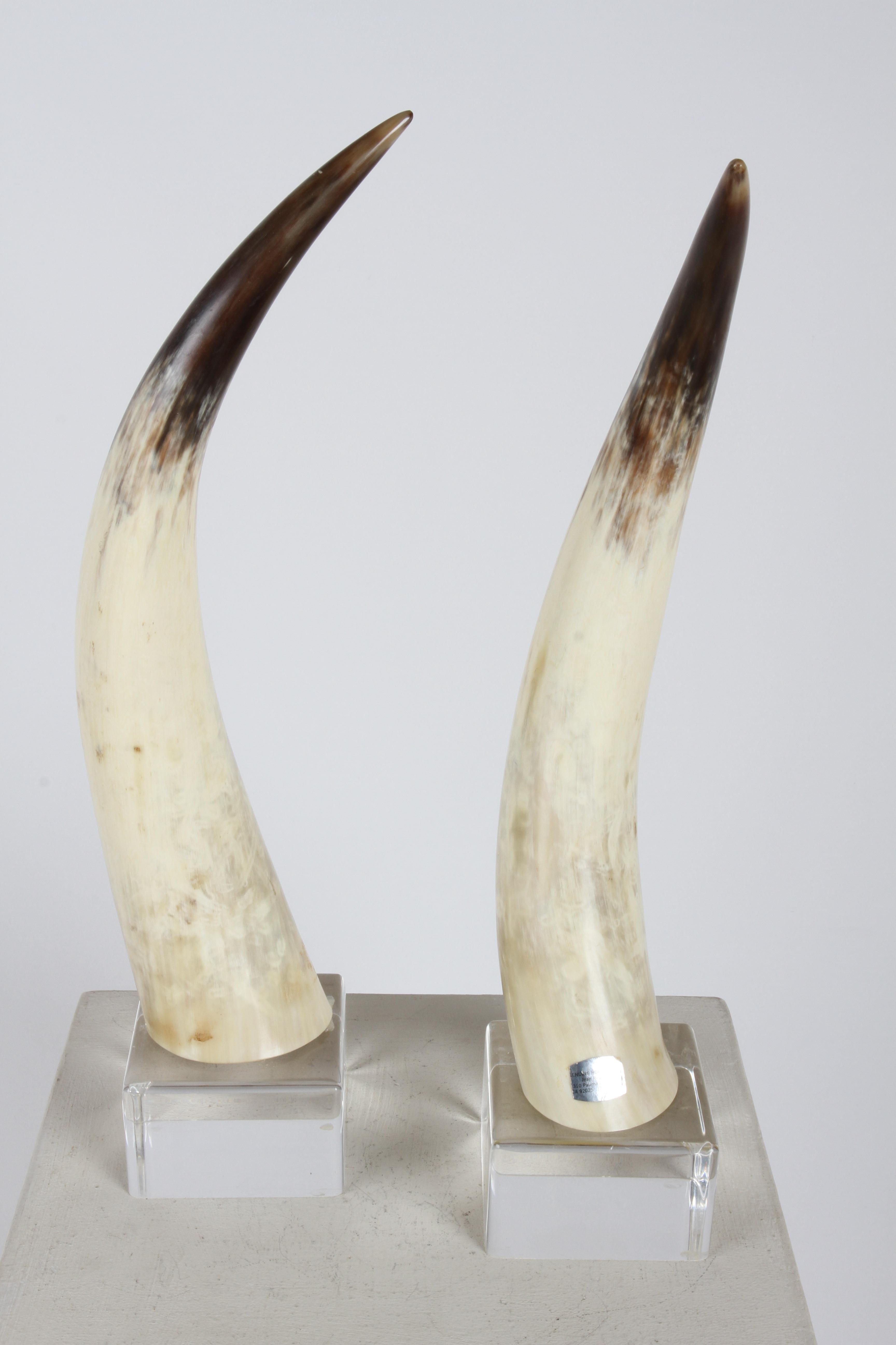 Paar Longhorn-Ochsen-Hörner aus den 1970er Jahren auf Lucite-Sockeln von Jean Roy Designs  im Angebot 2