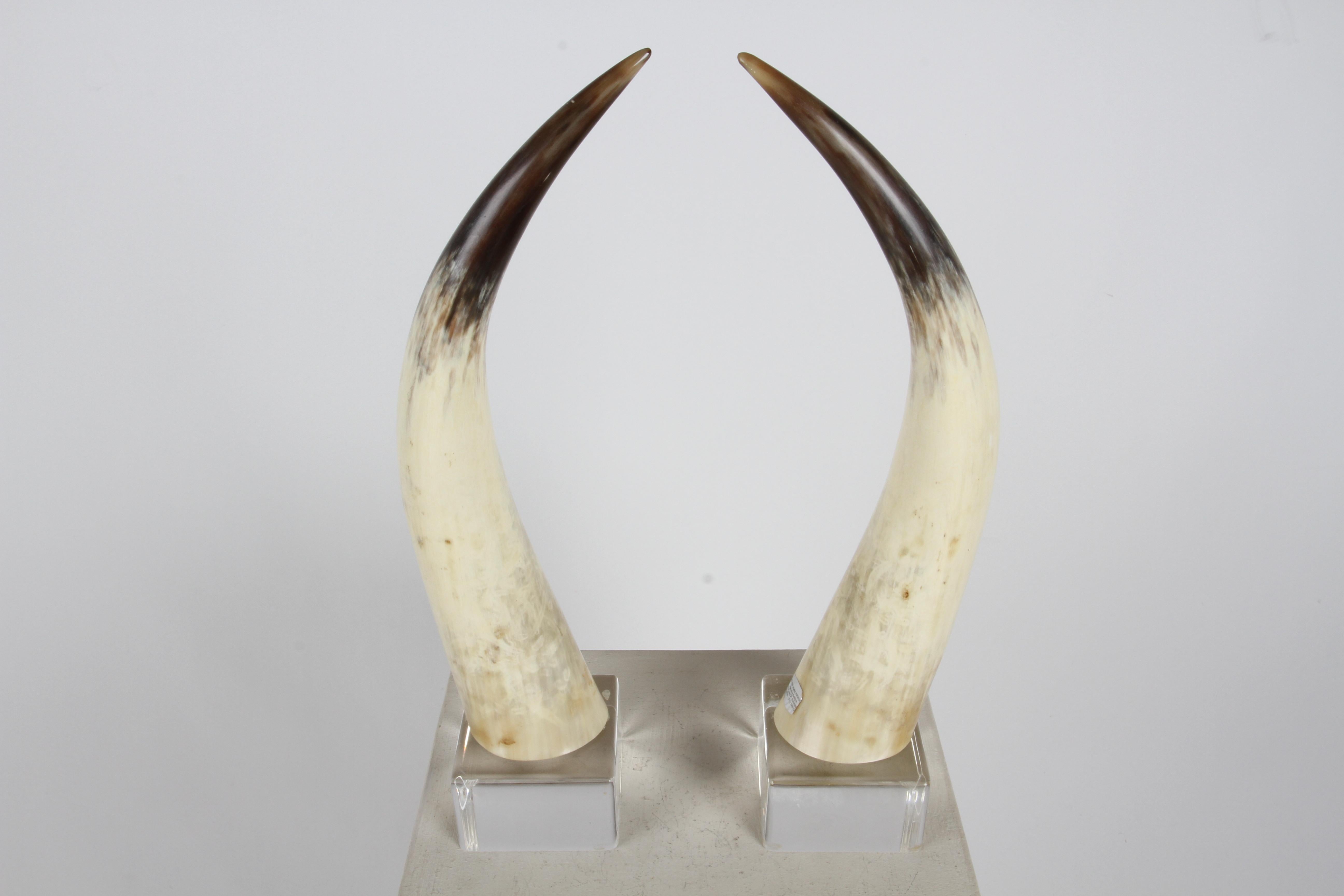 Mid-Century Modern Pair of 1970s Longhorn Steer Horns Mounted on Lucite Bases by Jean Roy Designs  For Sale