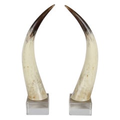 Pair of 1970s Longhorn Steer Horns Mounted on Lucite Bases by Jean Roy Designs