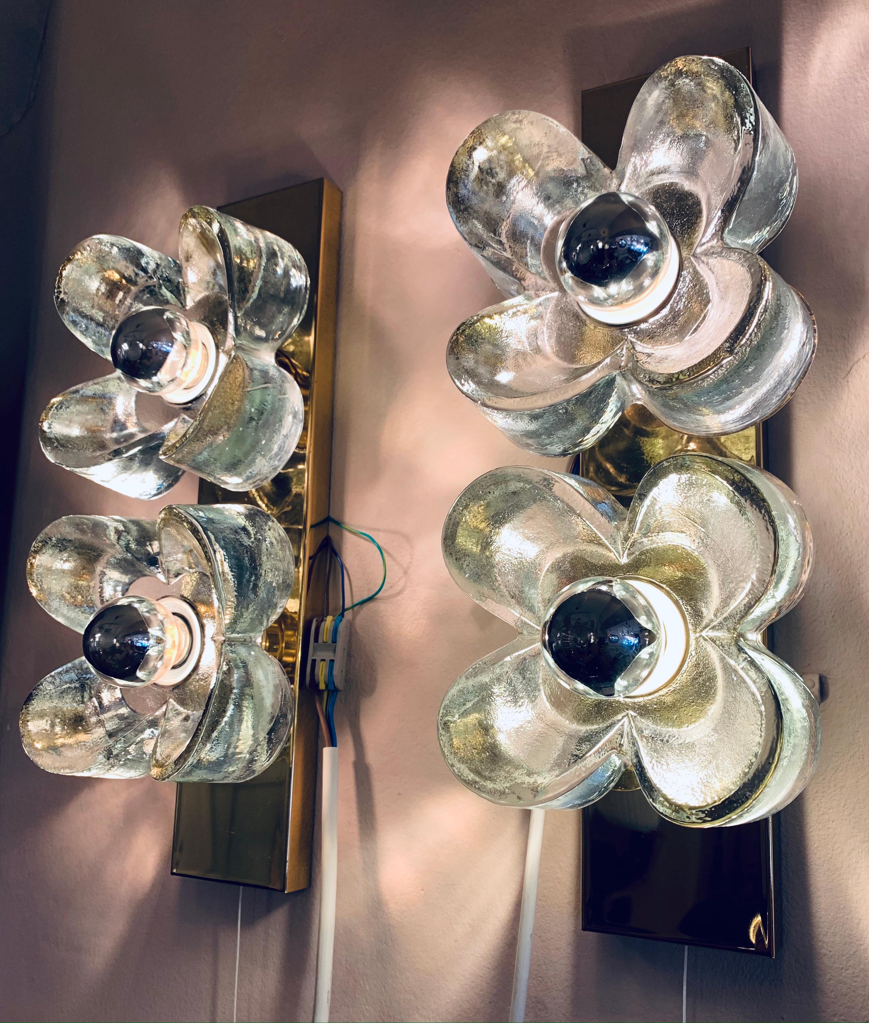 German Pair of 1970s Sische Lighting Brass and Murano Glass Flower Wall Sconce Lights