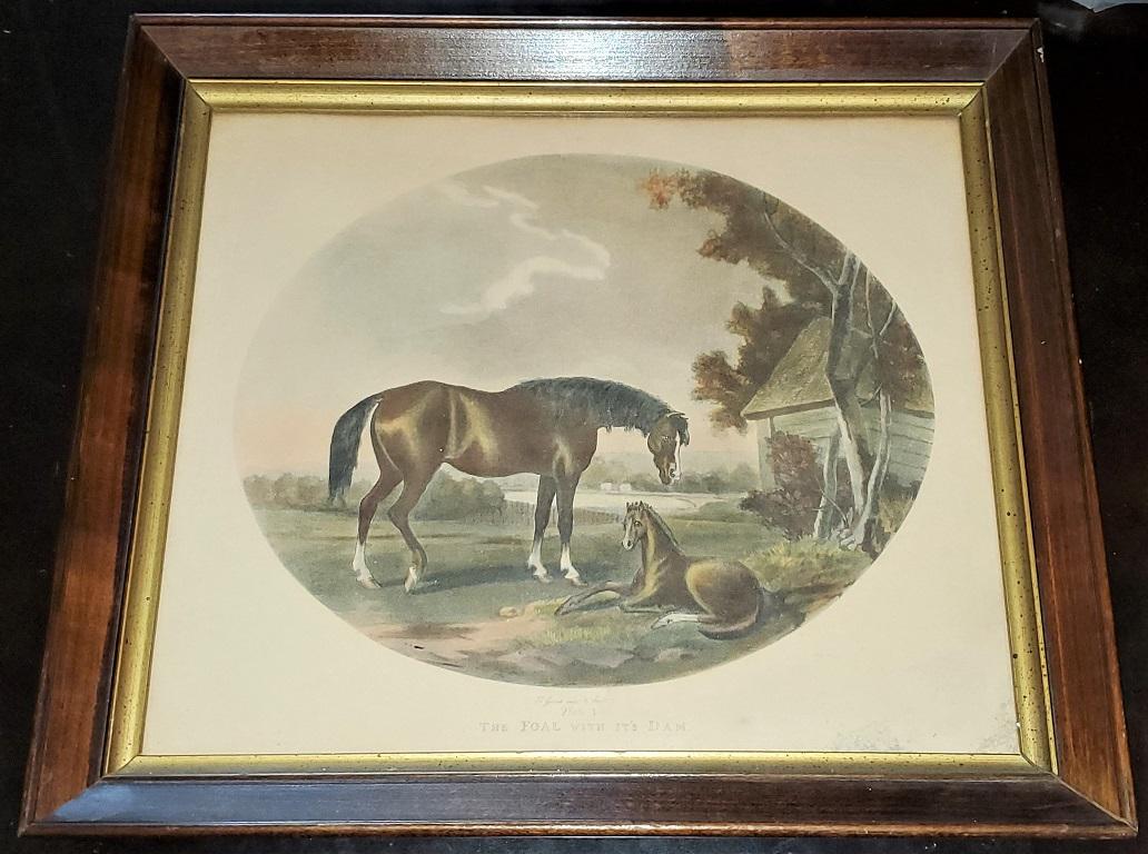 Pair of 19th Century Thomas Gooch Horse Aquatints 1