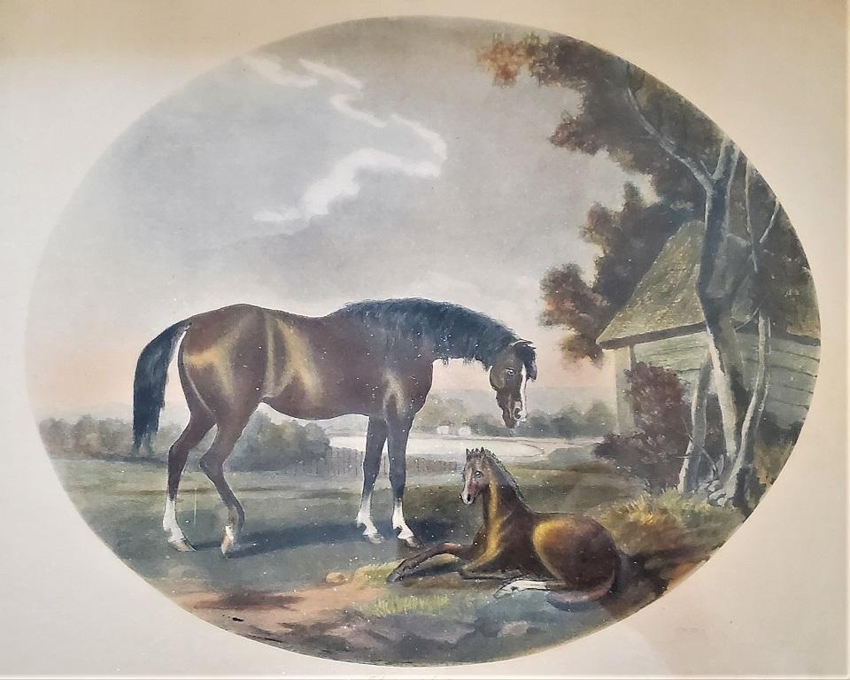 Pair of 19th Century Thomas Gooch Horse Aquatints 2