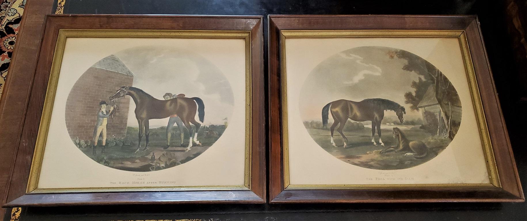 Pair of 19th Century Thomas Gooch Horse Aquatints 5