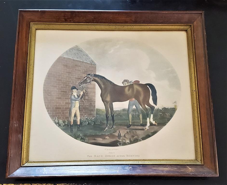 havertys horse picture