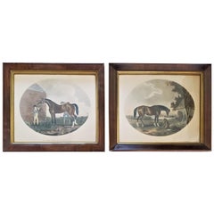 Paire d'aquarelles de chevaux Thomas Gooch Horse du 19ème siècle