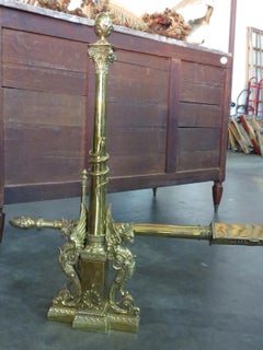 Pair of 19th-20th Century Brass Andirons with Birds and Roll Bar