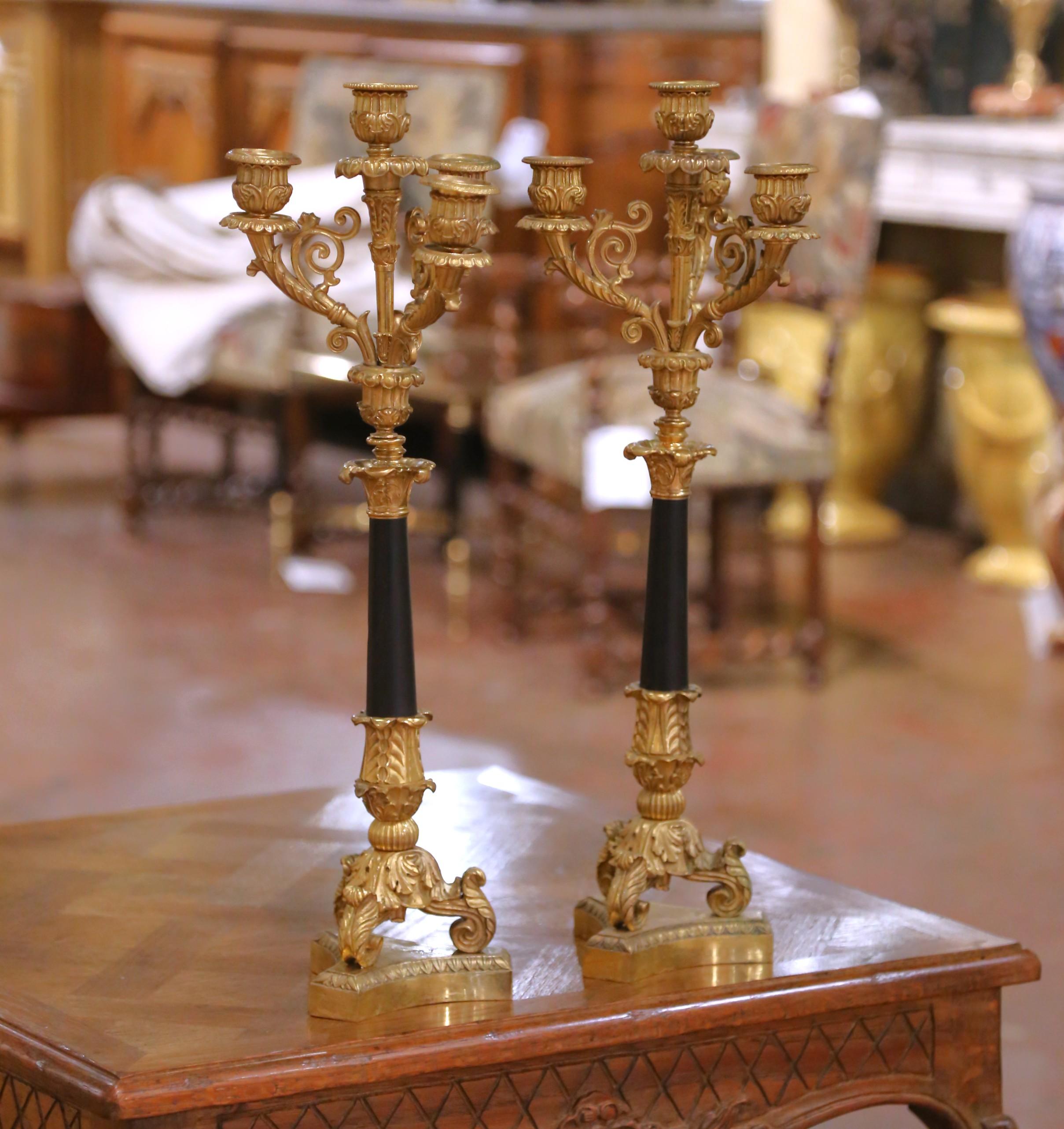 Porta un'eleganza maestosa e una raffinatezza classica su un caminetto, un buffet o una consolle con questa sorprendente coppia di candelabri Eleg, realizzati in Francia intorno al 1880 in bronzo dorato finemente cesellato e ottone patinato a