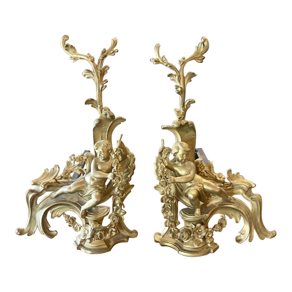 Coppia di oggetti del XIX secolo. Chenet francese in bronzo dorato