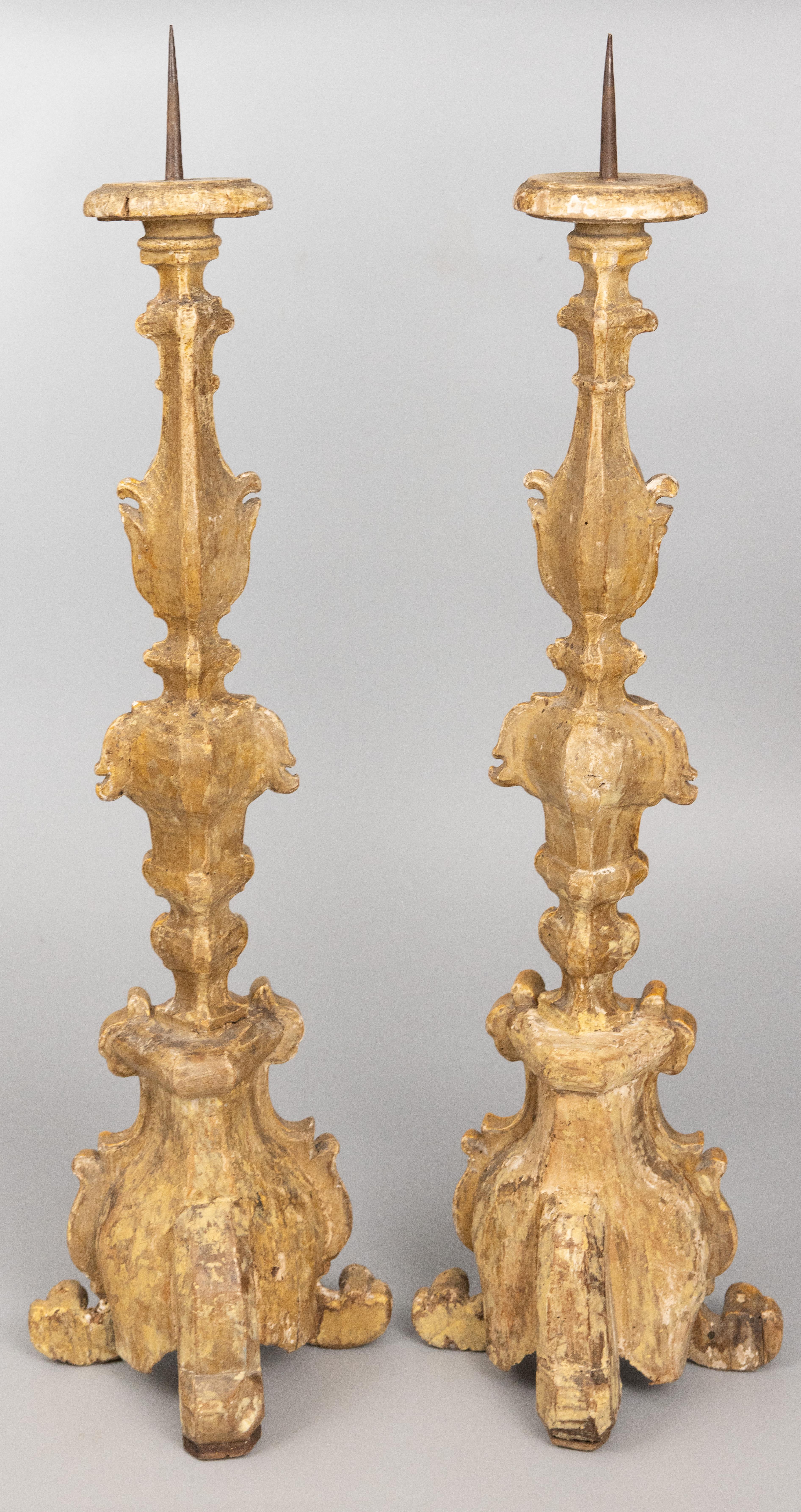 19th Century Pair of 19th C. Italian Giltwood Floor Pricket Candlesticks Torchieres For Sale