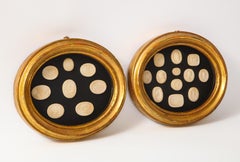 Pair of 19th Century Italian Grand Tour Plaster Intaglios in Gilt Oval Frames