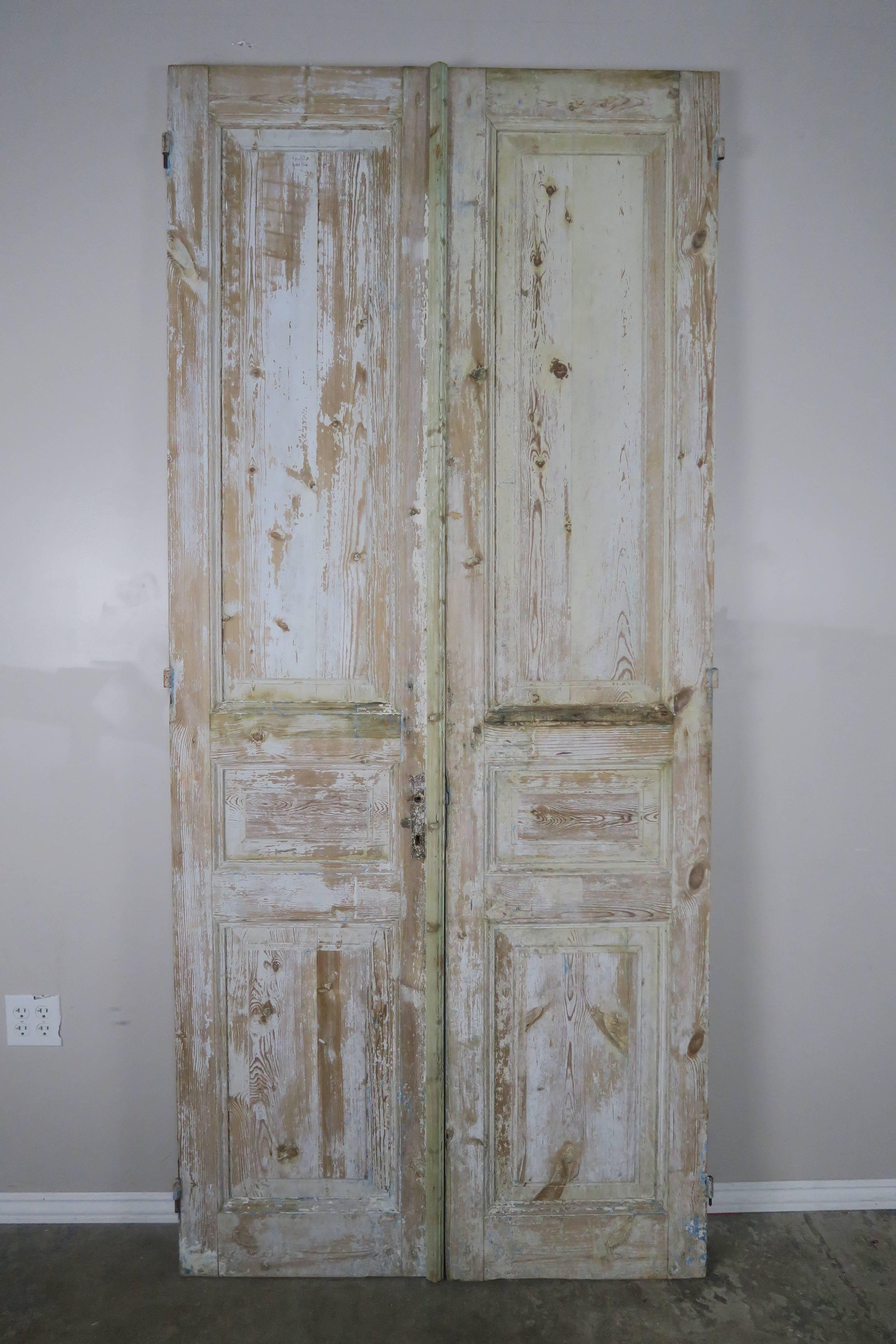 Rustic Pair of 19th Century Painted Pine Doors