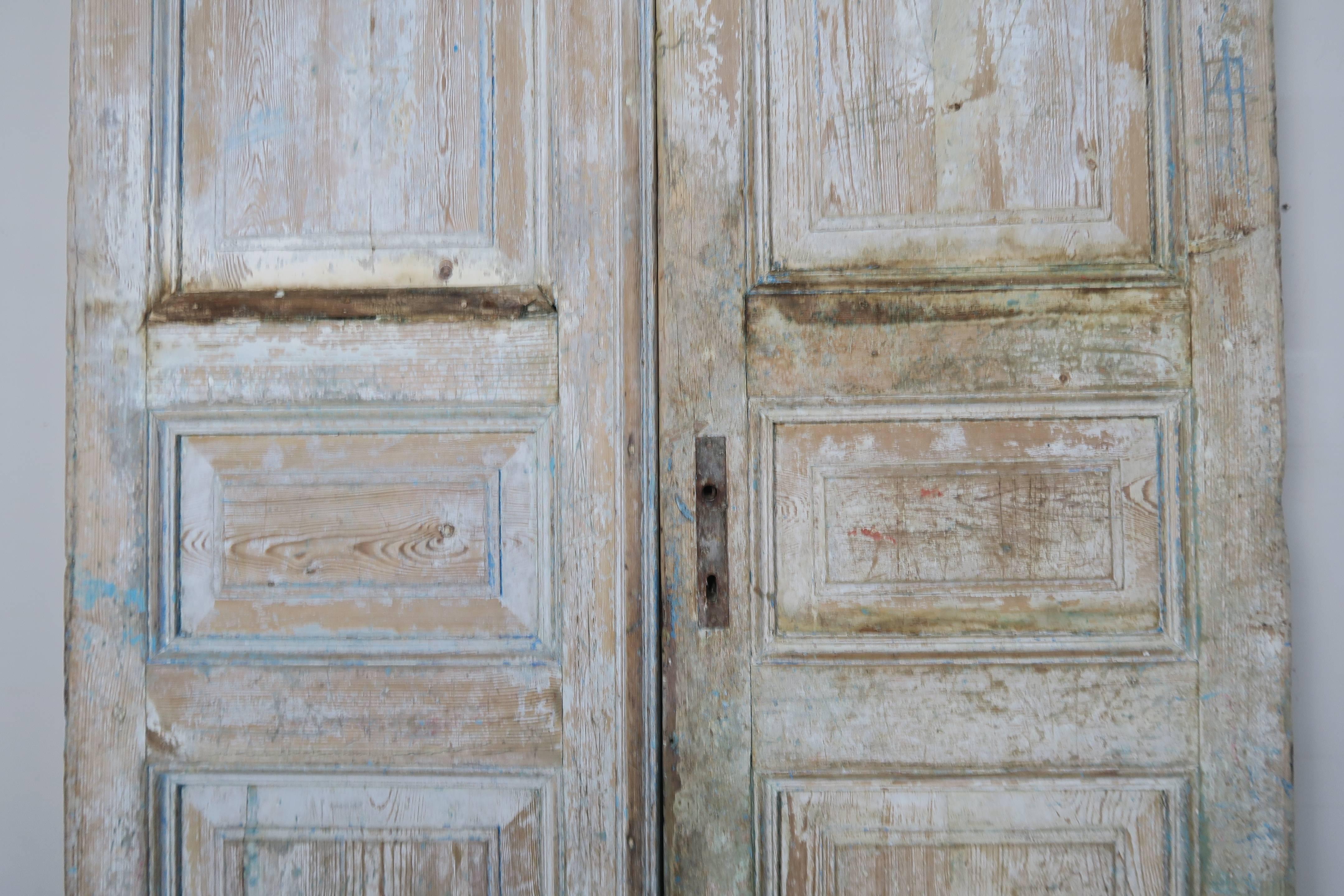 Pair of 19th Century Painted Pine Doors 2