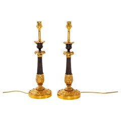Paar vergoldete und patinierte Metall-Tischlampen aus dem 19.