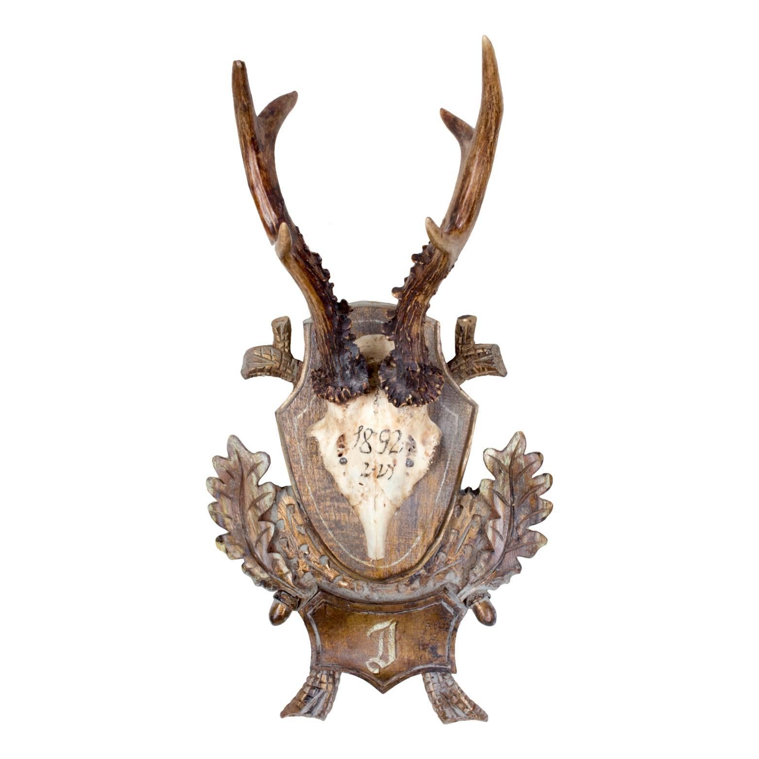 19th century Roe Deer trophies believed to have been taken by Emperor Franz Josef during his time at the Kaiservilla, the summer palace of the great Austro-Hungarian monarchy in the small village of Bad Ischl, Austria. Original plaque and initial