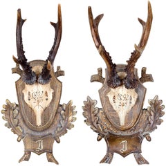 Pair of 19th Century Roe Trophies of Emperor Franz Josef from Bad Ischl, Austria
