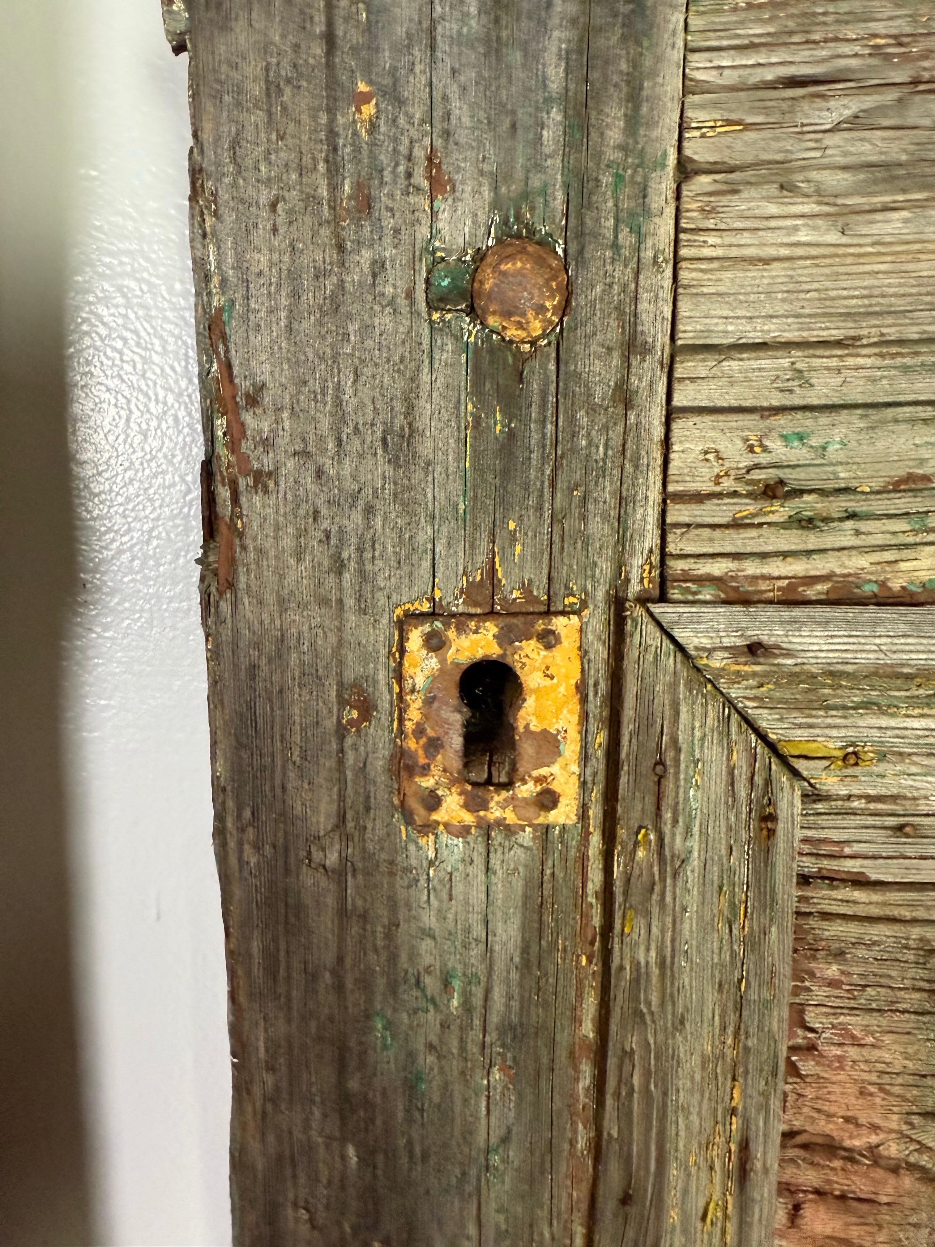 Coppia di porte dipinte in stile rustico del 19° secolo in vendita 2