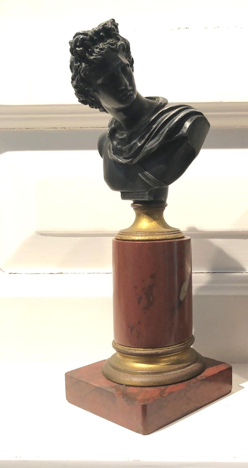 Burnished Pair of 19th cent. Diana & Apollo Bronze Busts on Rouge Marble Mounts For Sale