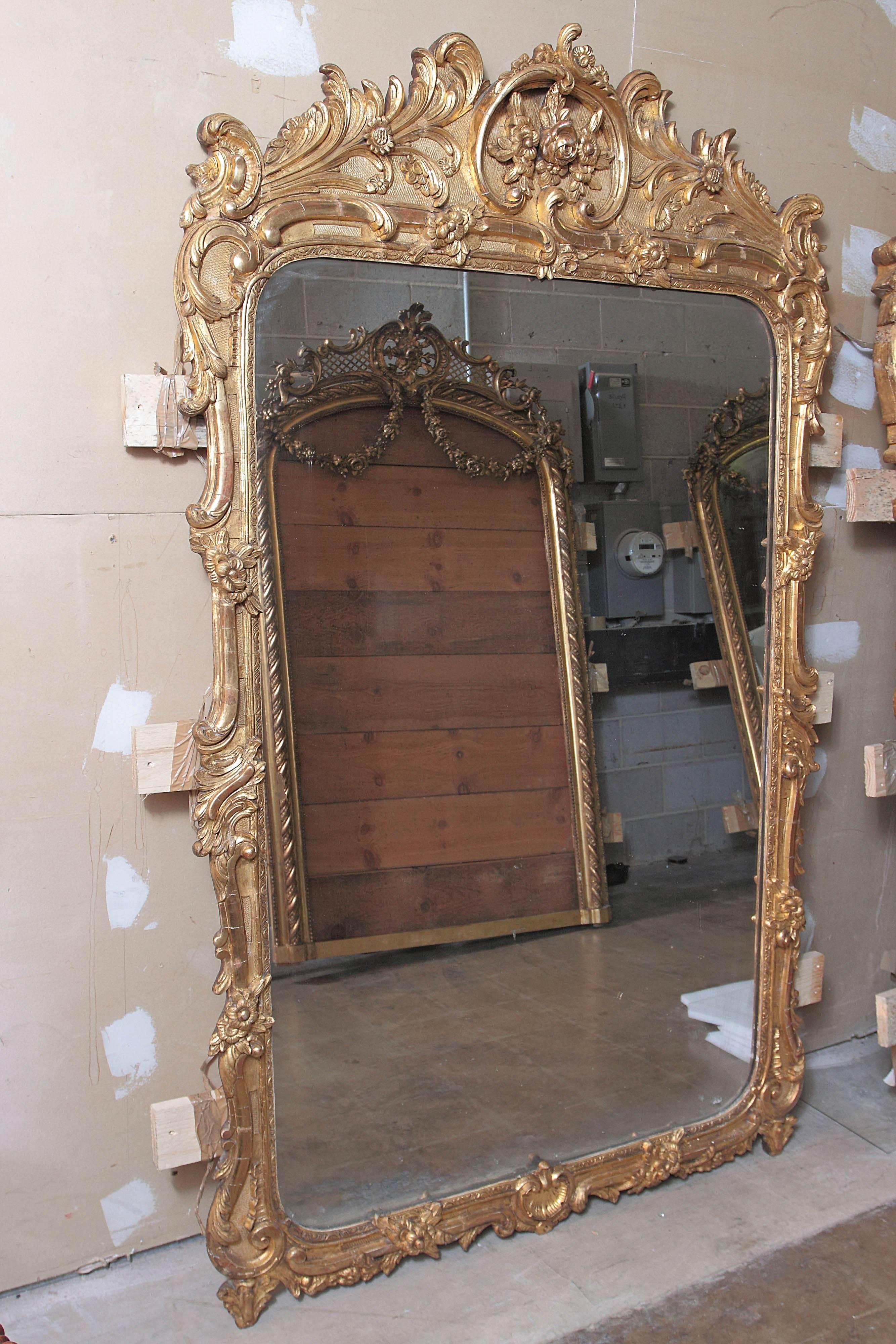Pair of finely carved and gilt 19th century palatial French Regence mirrors.