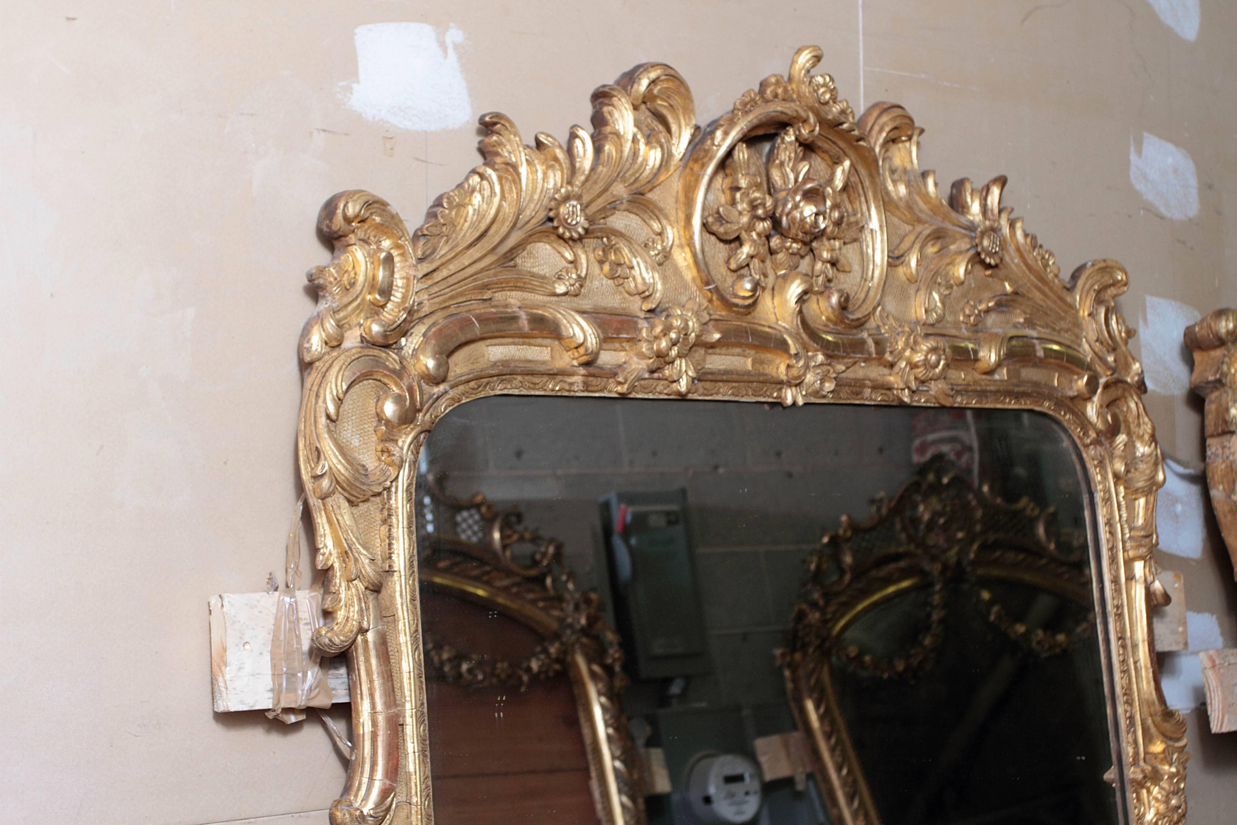 French Pair of 19th Century Large and Finely Carved and Water Gilt Regence Mirrors