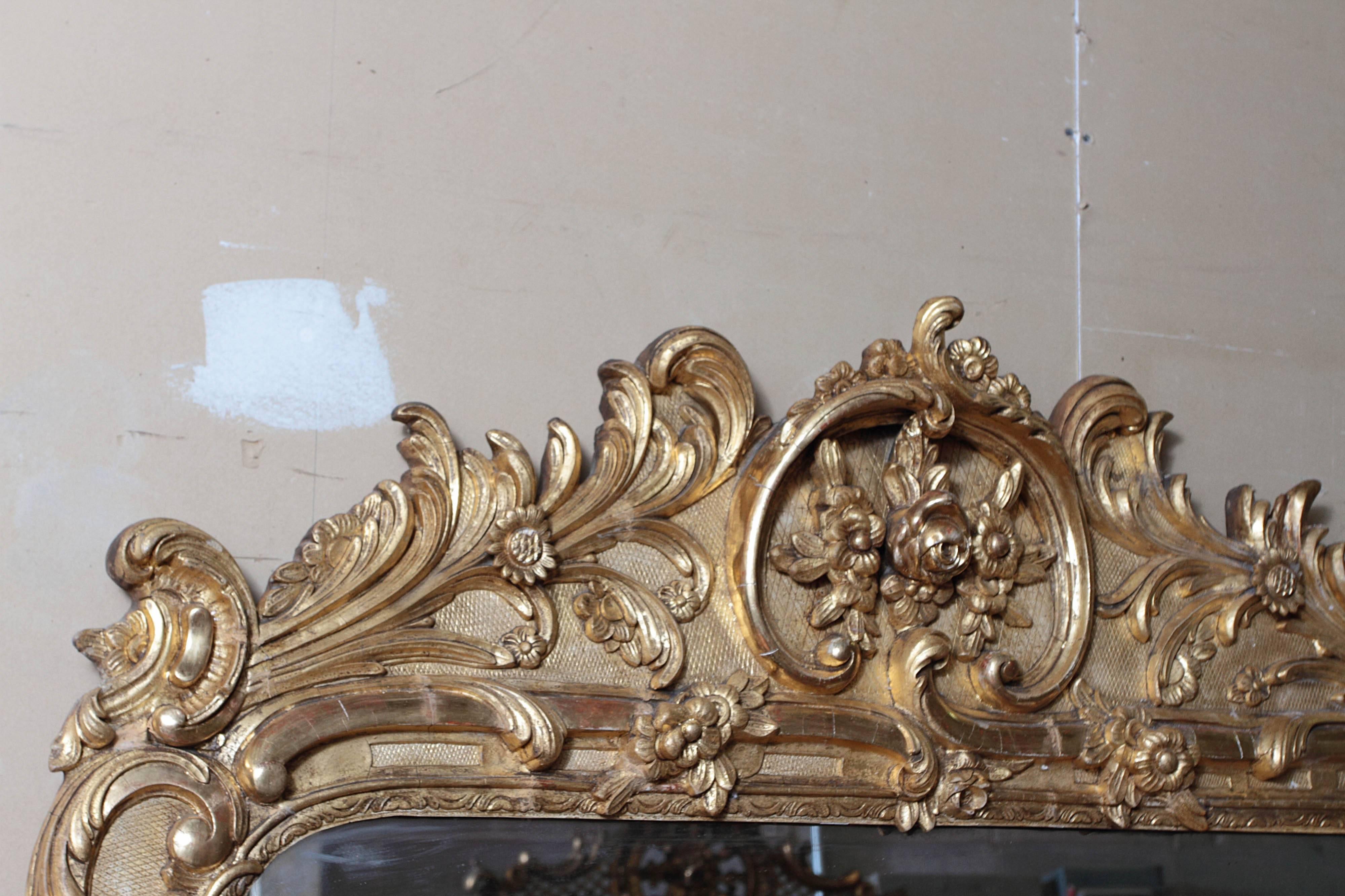 Pair of 19th Century Large and Finely Carved and Water Gilt Regence Mirrors In Good Condition In Dallas, TX