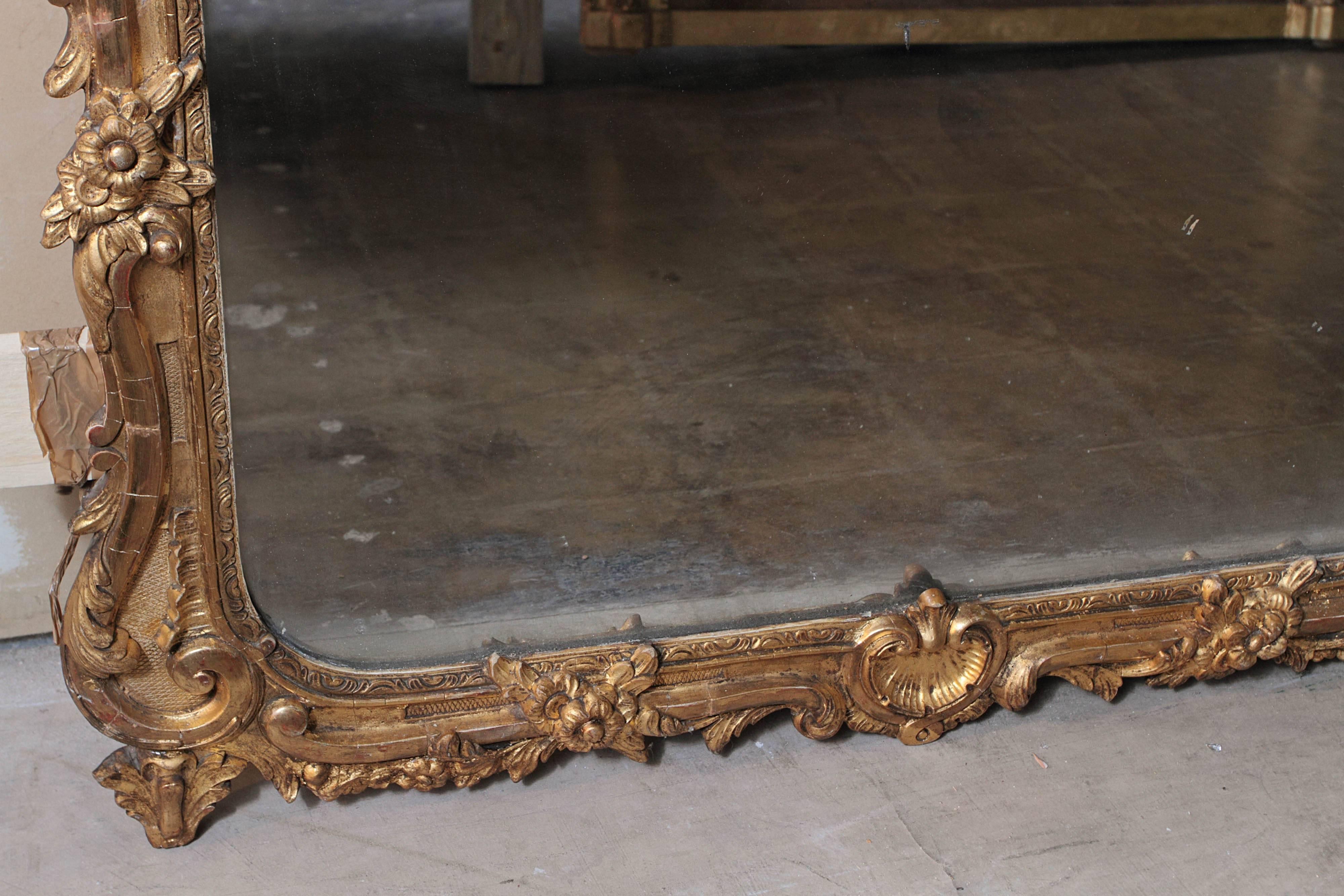 Giltwood Pair of 19th Century Large and Finely Carved and Water Gilt Regence Mirrors