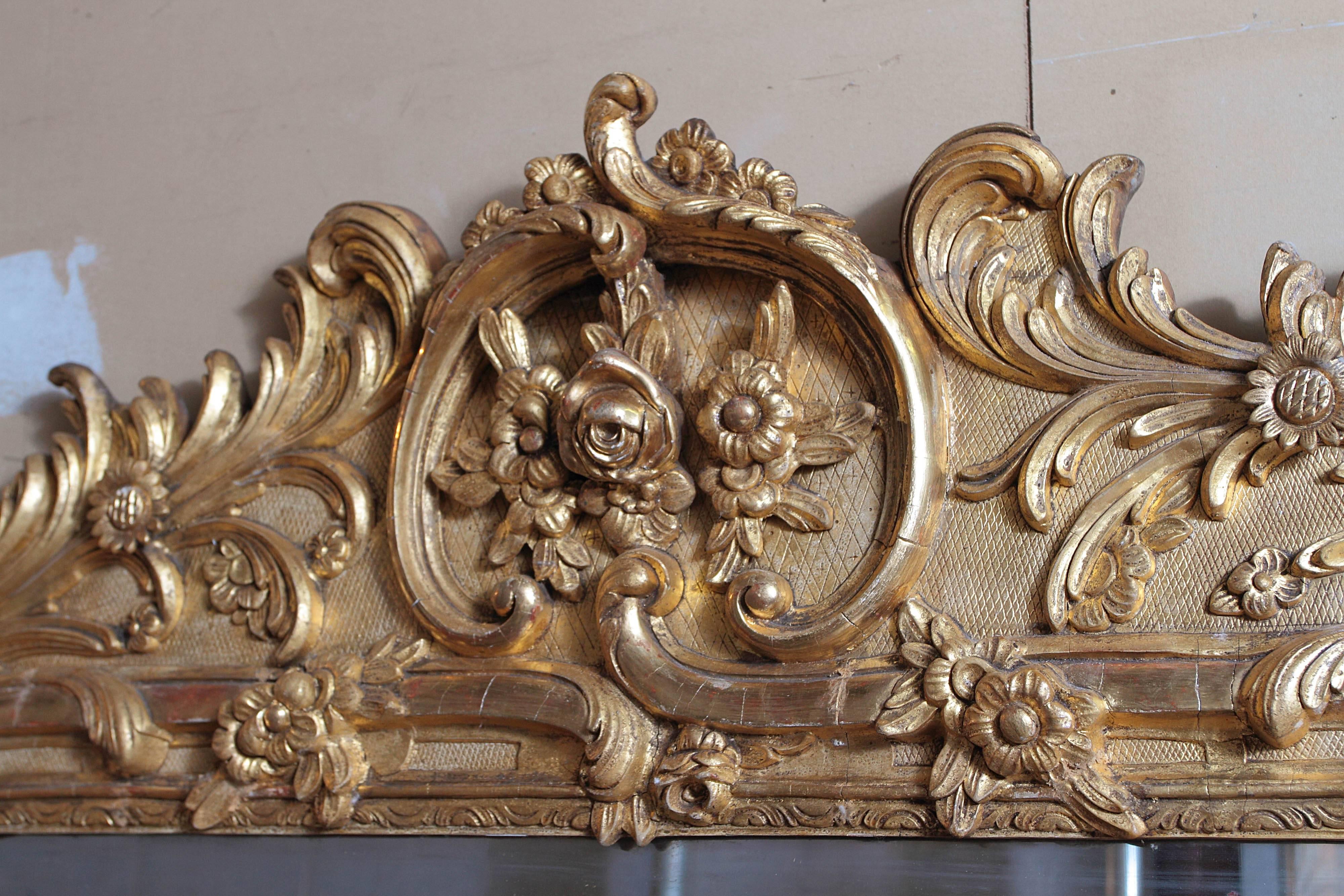 Pair of 19th Century Large and Finely Carved and Water Gilt Regence Mirrors 1