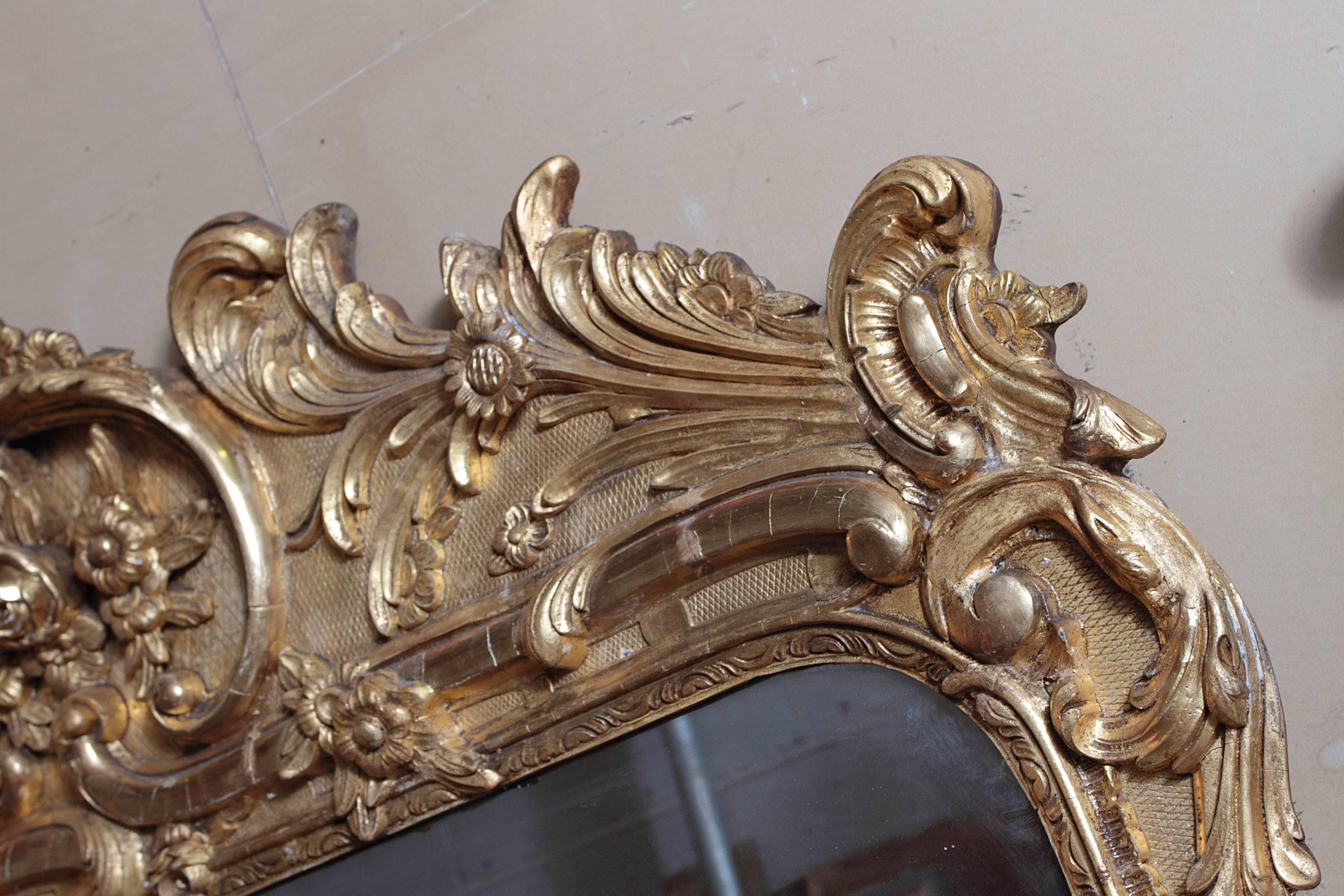 Pair of 19th Century Large and Finely Carved and Water Gilt Regence Mirrors 2