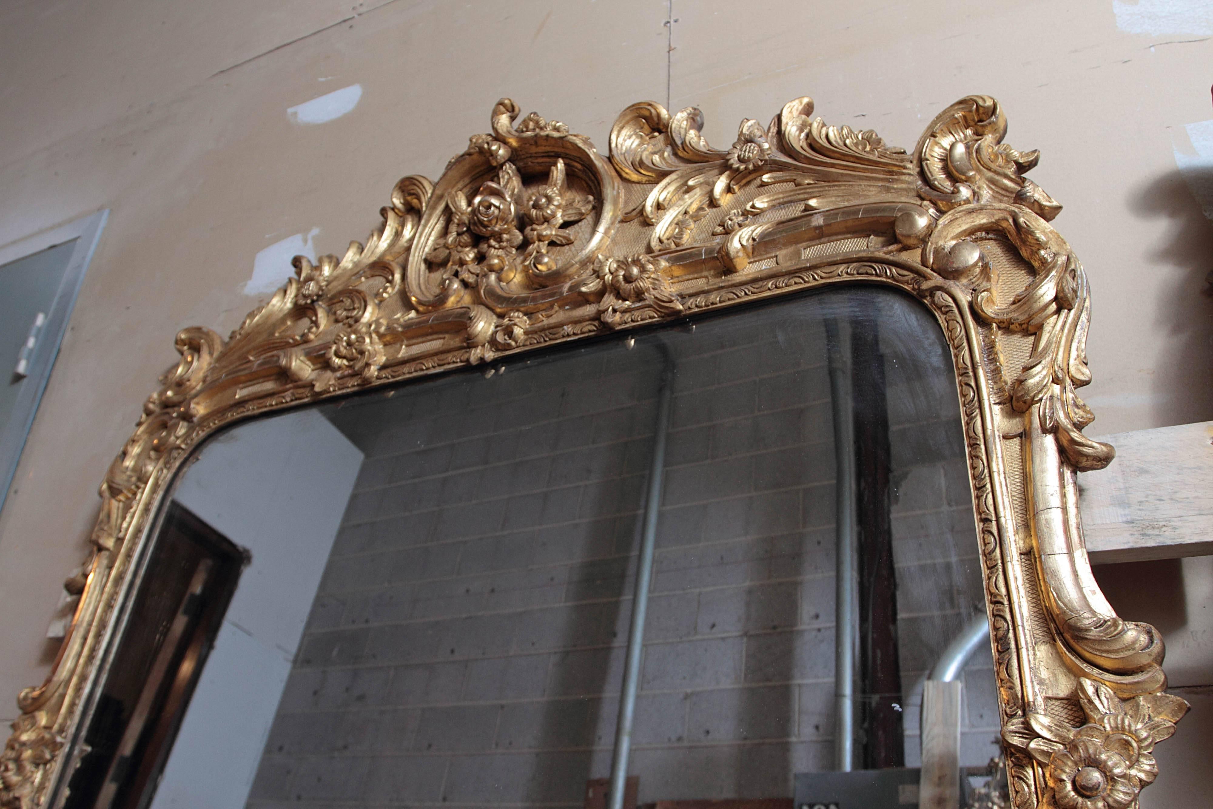 Pair of 19th Century Large and Finely Carved and Water Gilt Regence Mirrors 3
