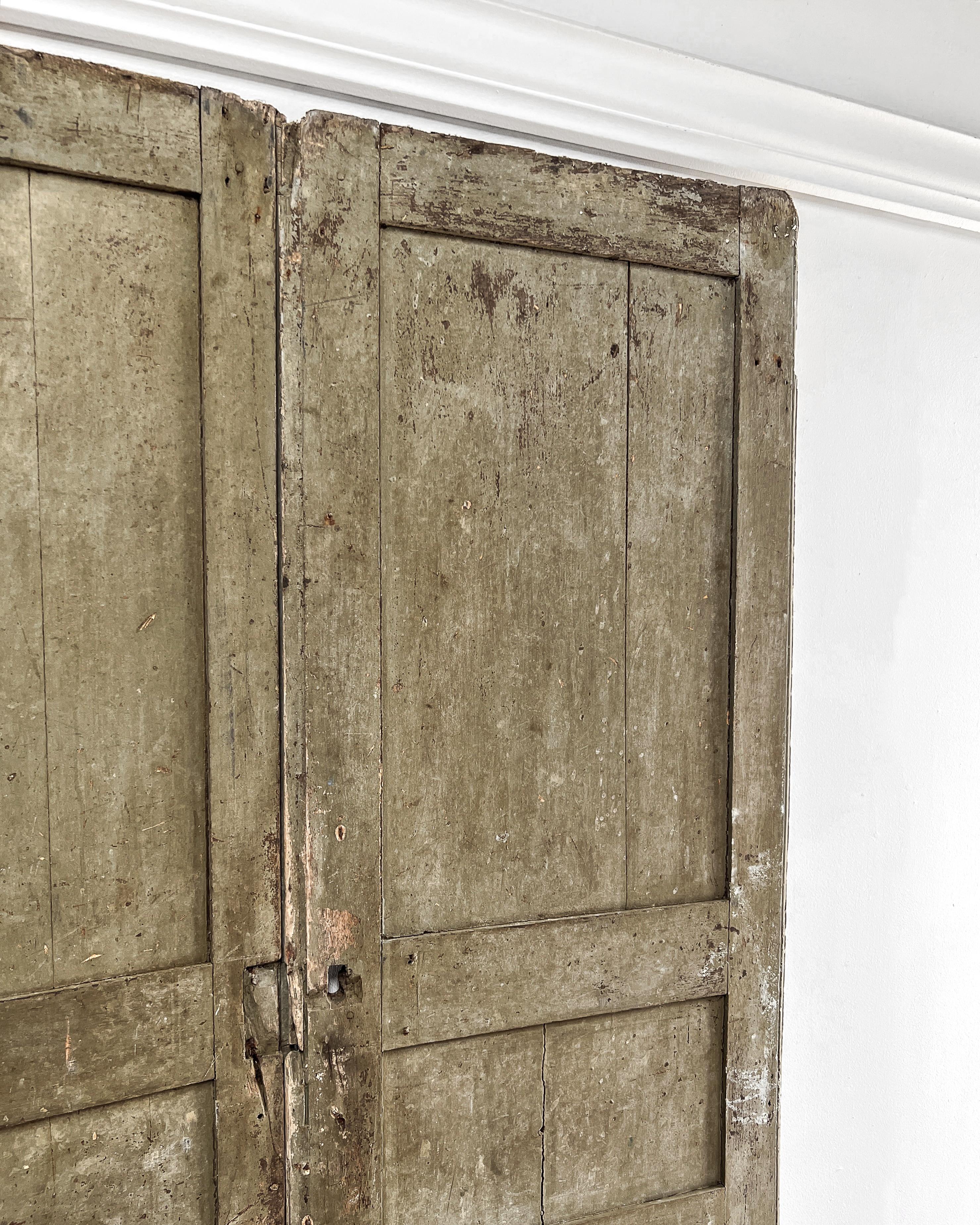 Pair of 19th Century 2 Panel Decorative French Wardrobe Doors 8