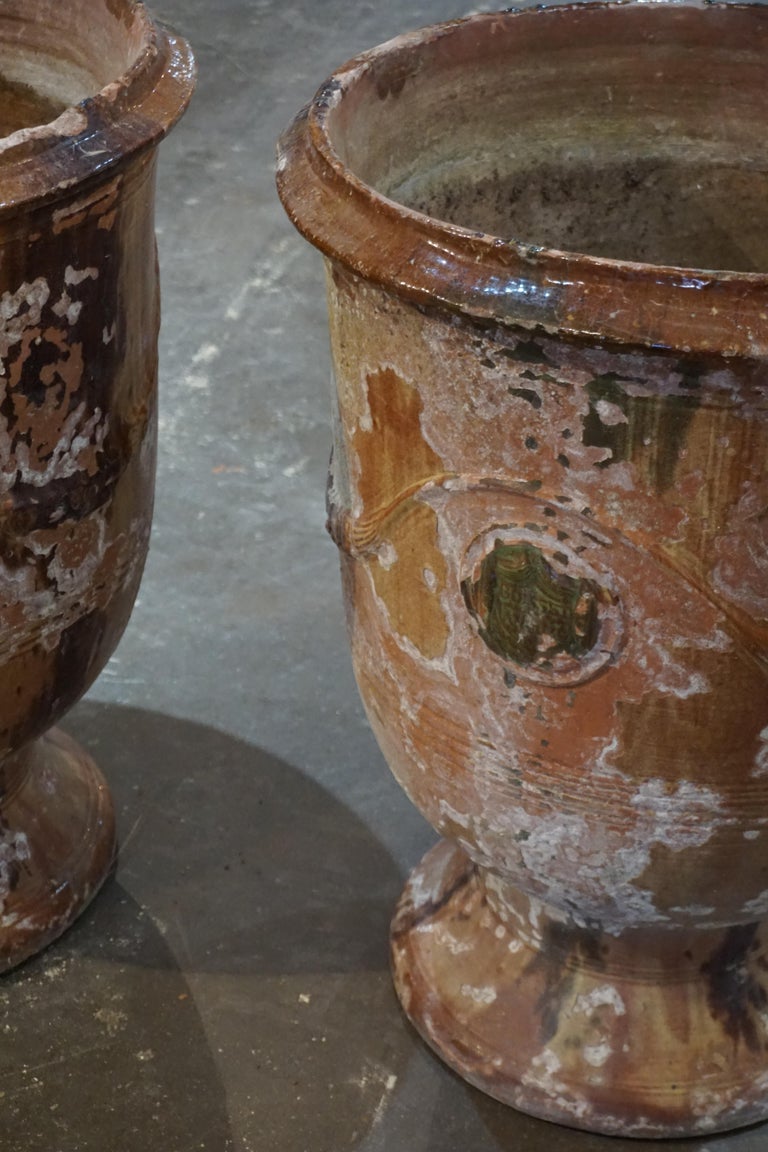 Pair of 19th Century Anduze Pots For Sale at 1stdibs