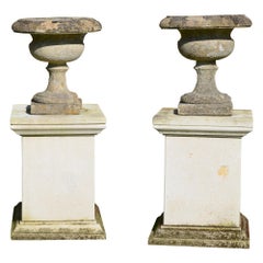 Pair of 19th Century Bath Stone Tazza Shaped Urns