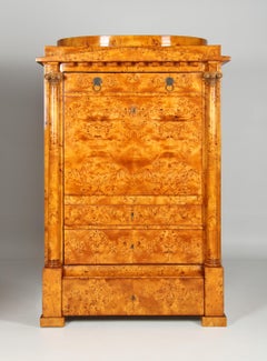 Pair of 19th Century Biedermeier Cabinets in Shape of a Secretaire, circa 1825